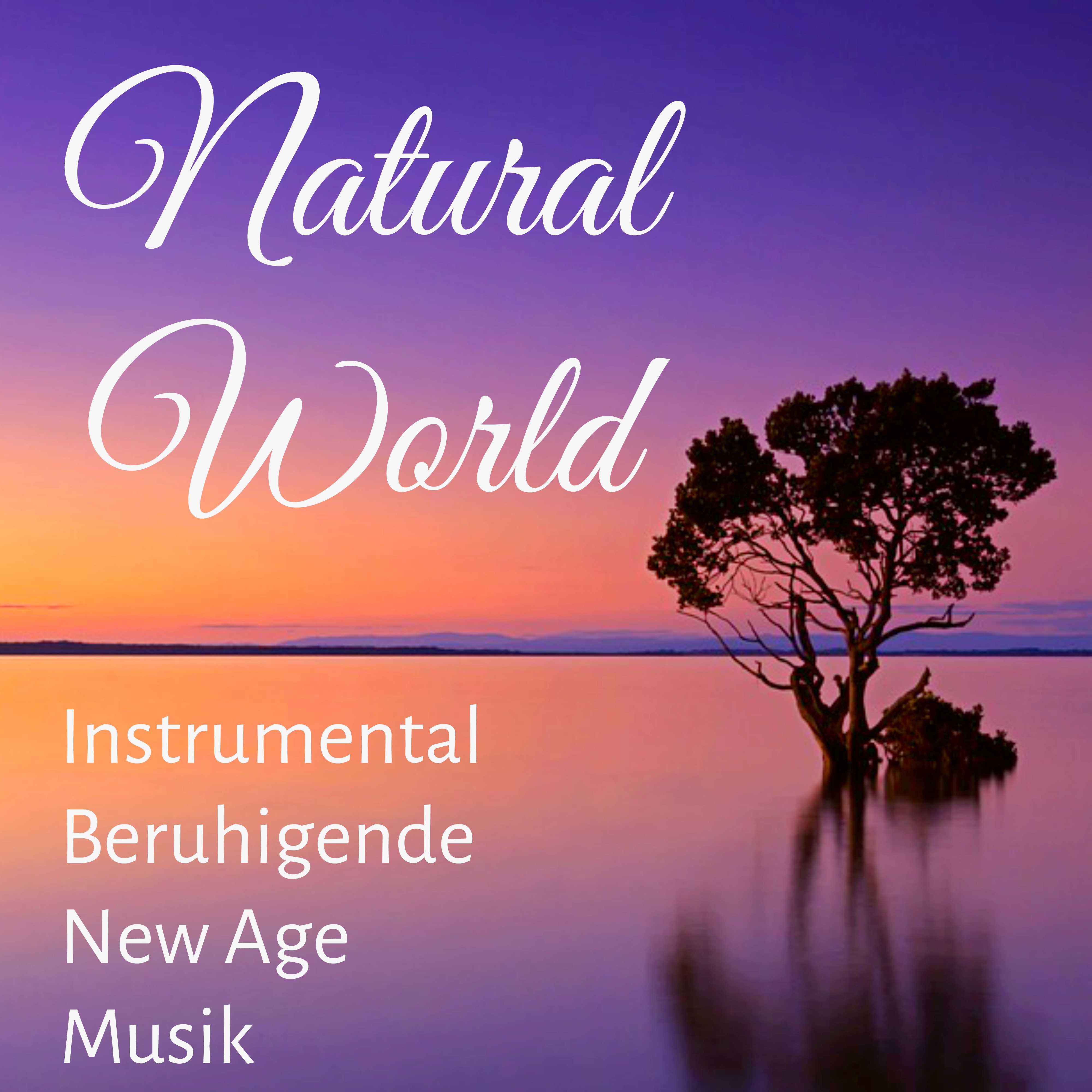 Natural World  Instrumental Beruhigende New Age Musik fü r Spirituelle Heilung T gliche Meditation Atemtechniken mit Natur Bleib Ruhig Schlaf Ger usche