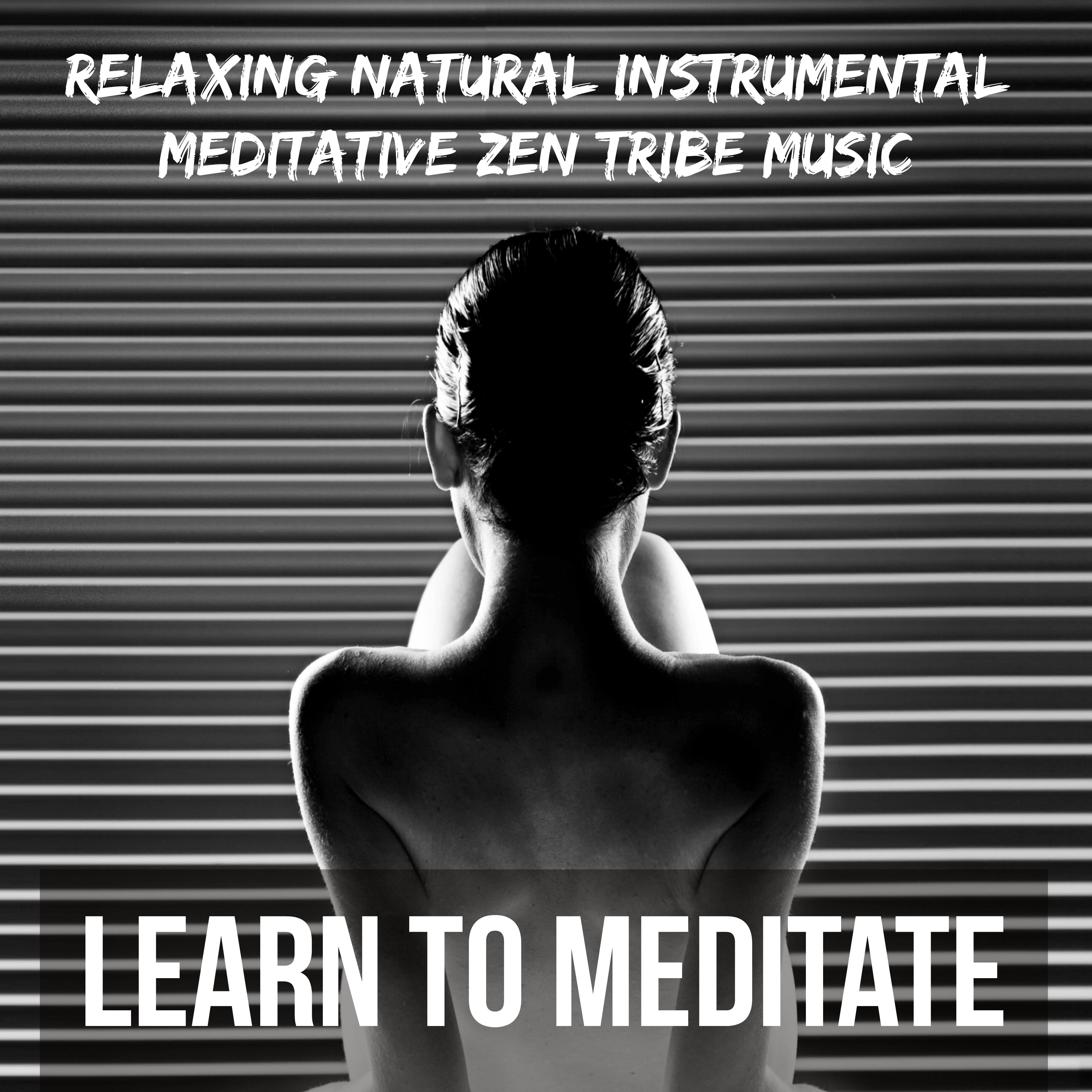 Learn to Meditate - Relaxing Natural Instrumental Meditative Zen Tribe Music for Deep Focus and Sleep