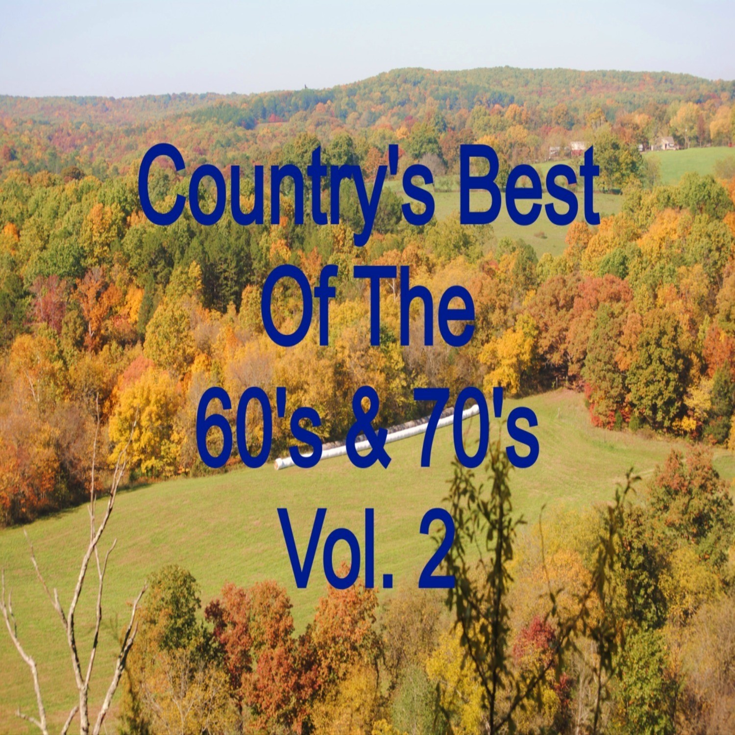 Country's Best of the 60's & 70's Vol. 2