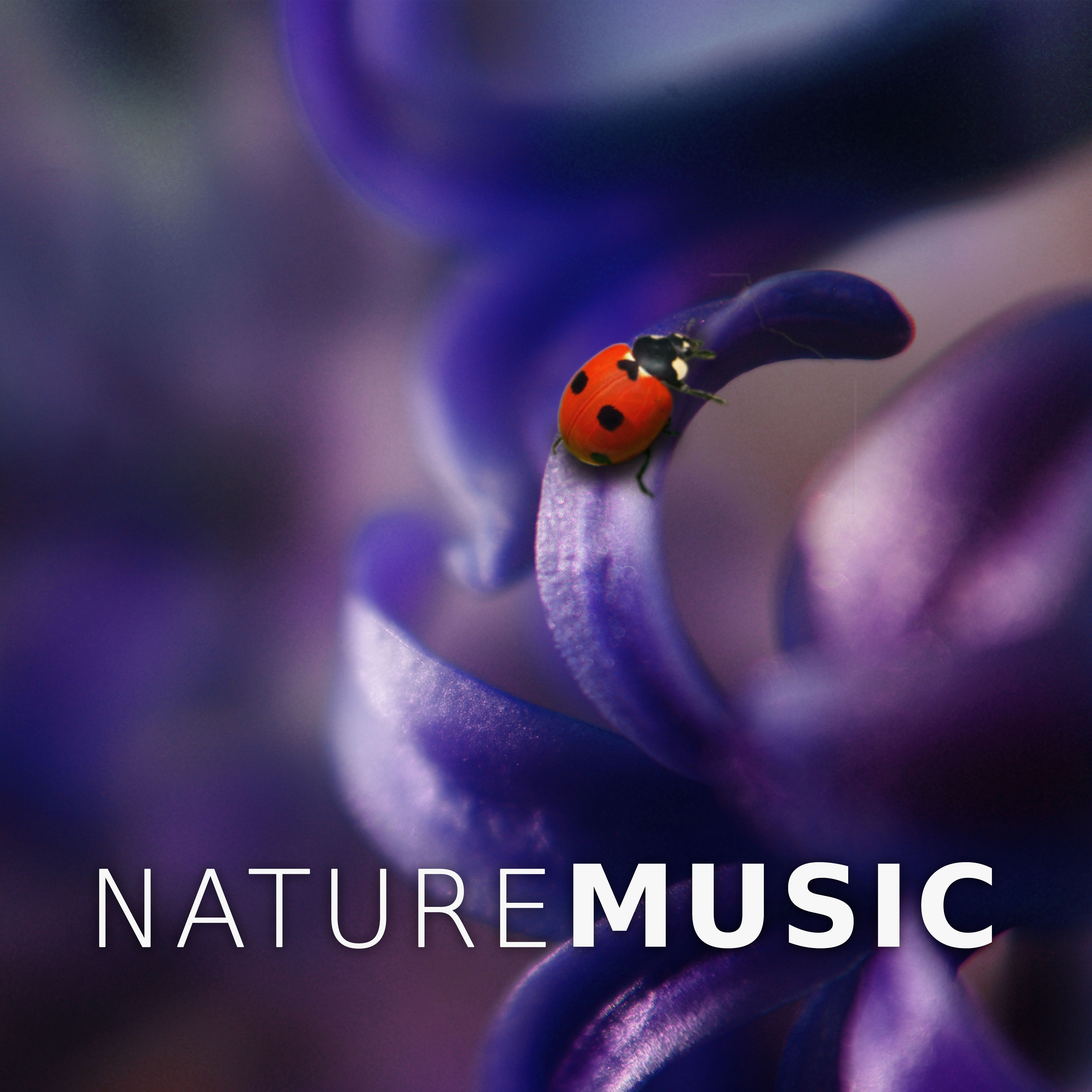 Nature Music - Sound Therapy, Ocean Waves, Touch My Body, Ambient Waterfall Sounds