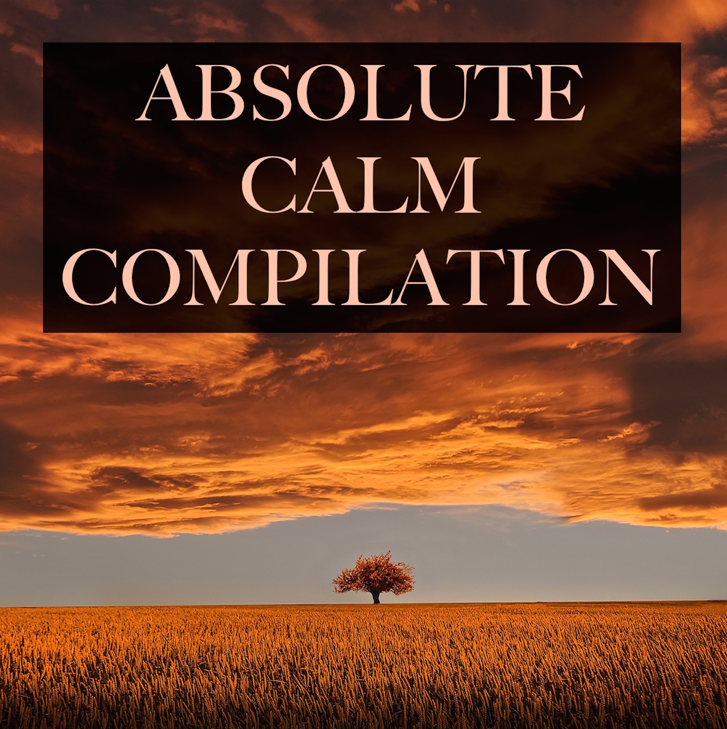 Absolute Calm Compilation - Pure Deep Sleep Musical Relaxation, and to Help with Yoga, Meditation, Complete Stress & Anxiety Relief and Healthier Living