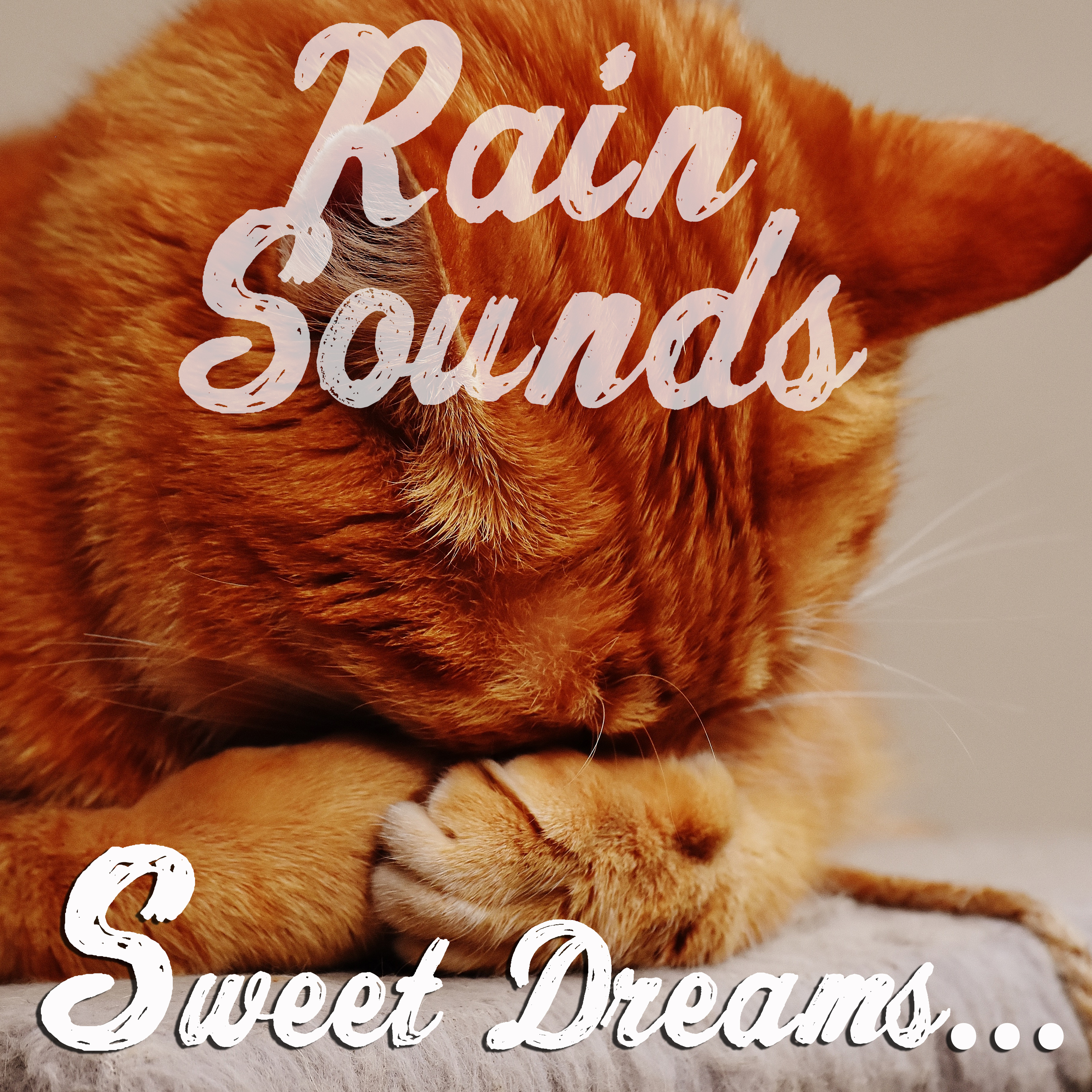 12 of the Best Rain and Nature Sounds. A Compilation for Looping and Playlisting for Sleep