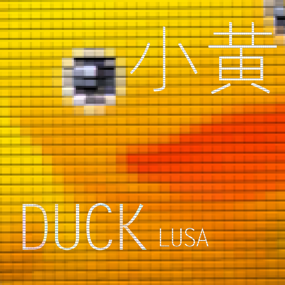 xiao huang DUCK