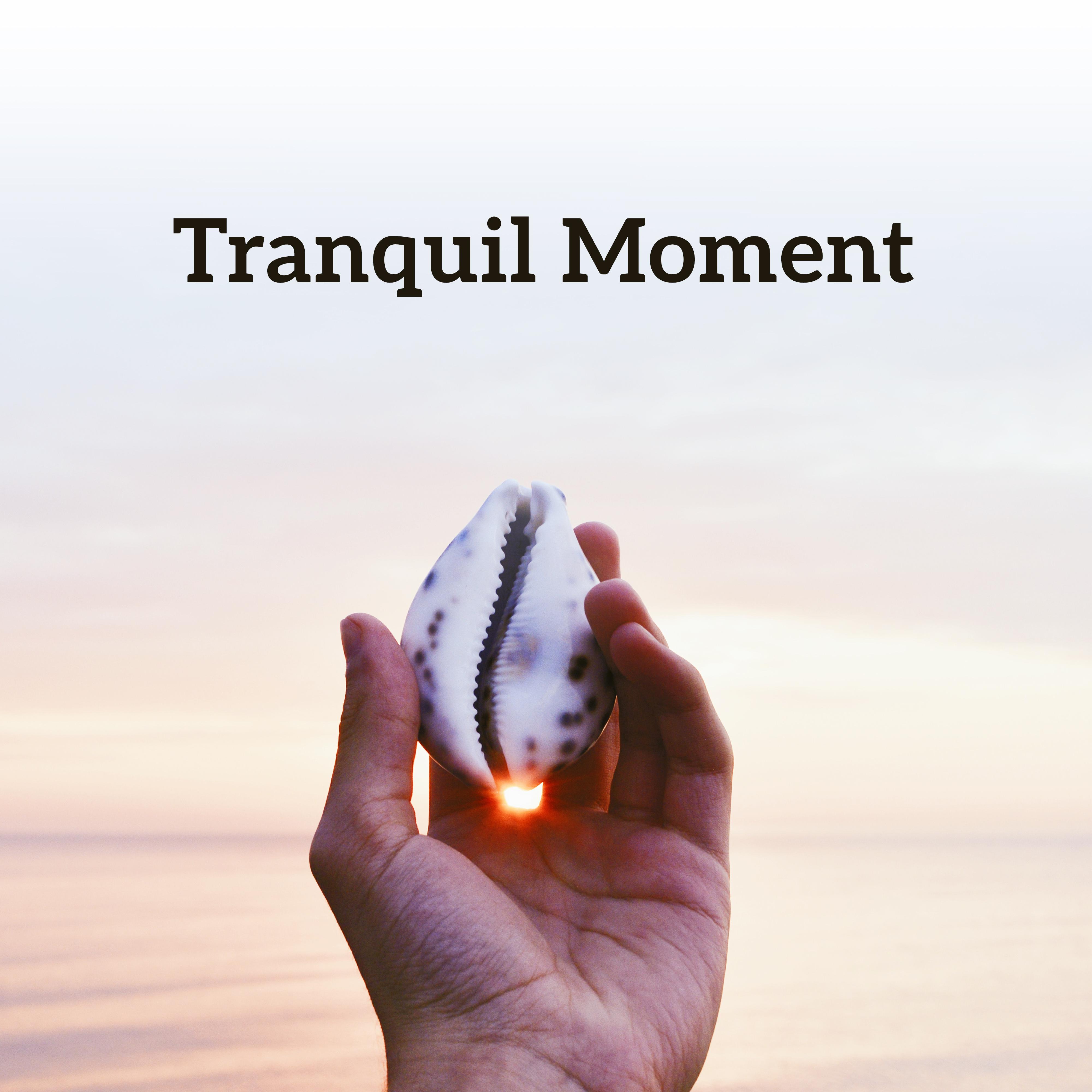 Tranquil Moment  Stress Free, New Age Music for Rest, Deep Relief, Zen Spirit