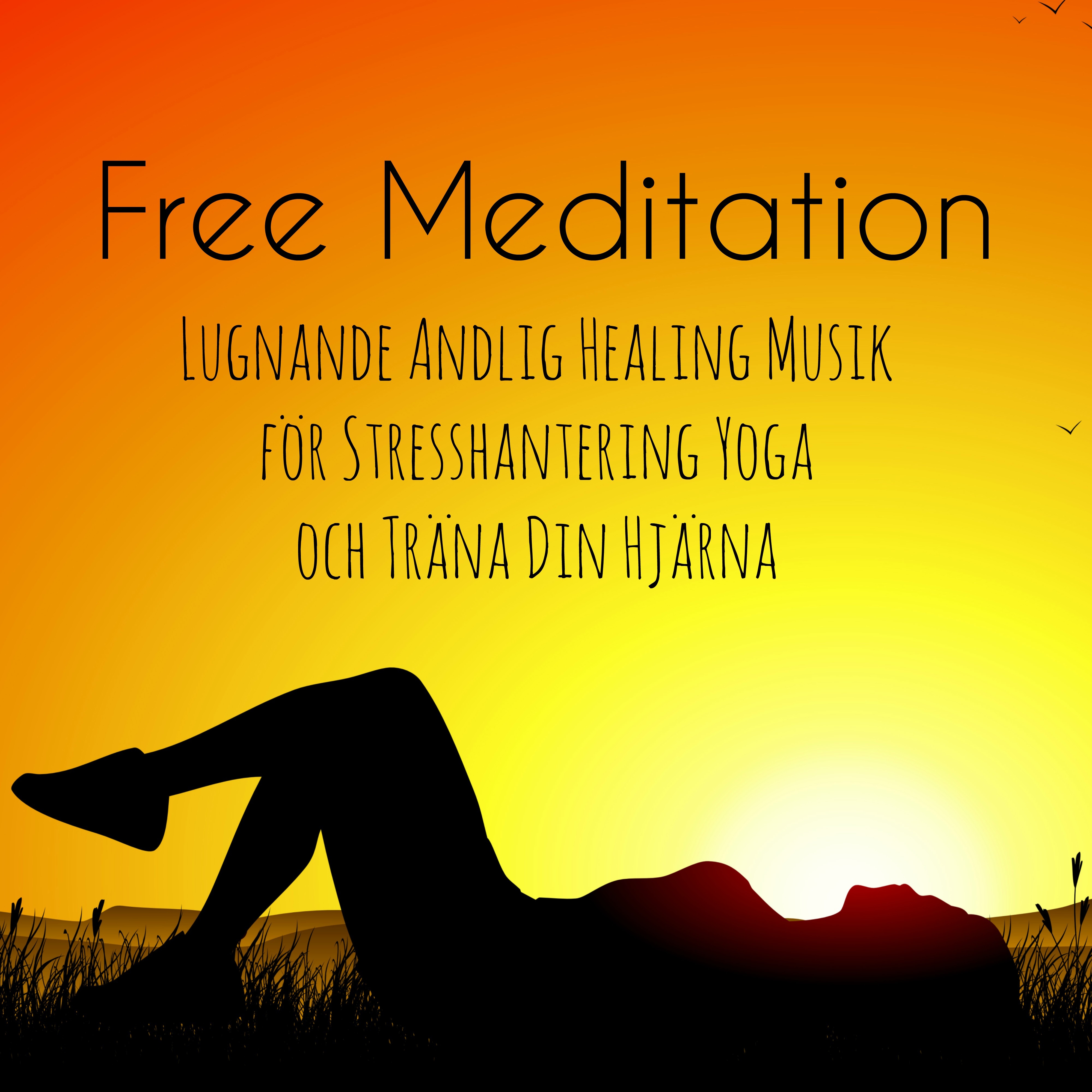 Free Meditation  Lugnande Andlig Healing Musik f r Stresshantering Yoga och Tr na Din Hj rna, Natur Instrumental Ljud
