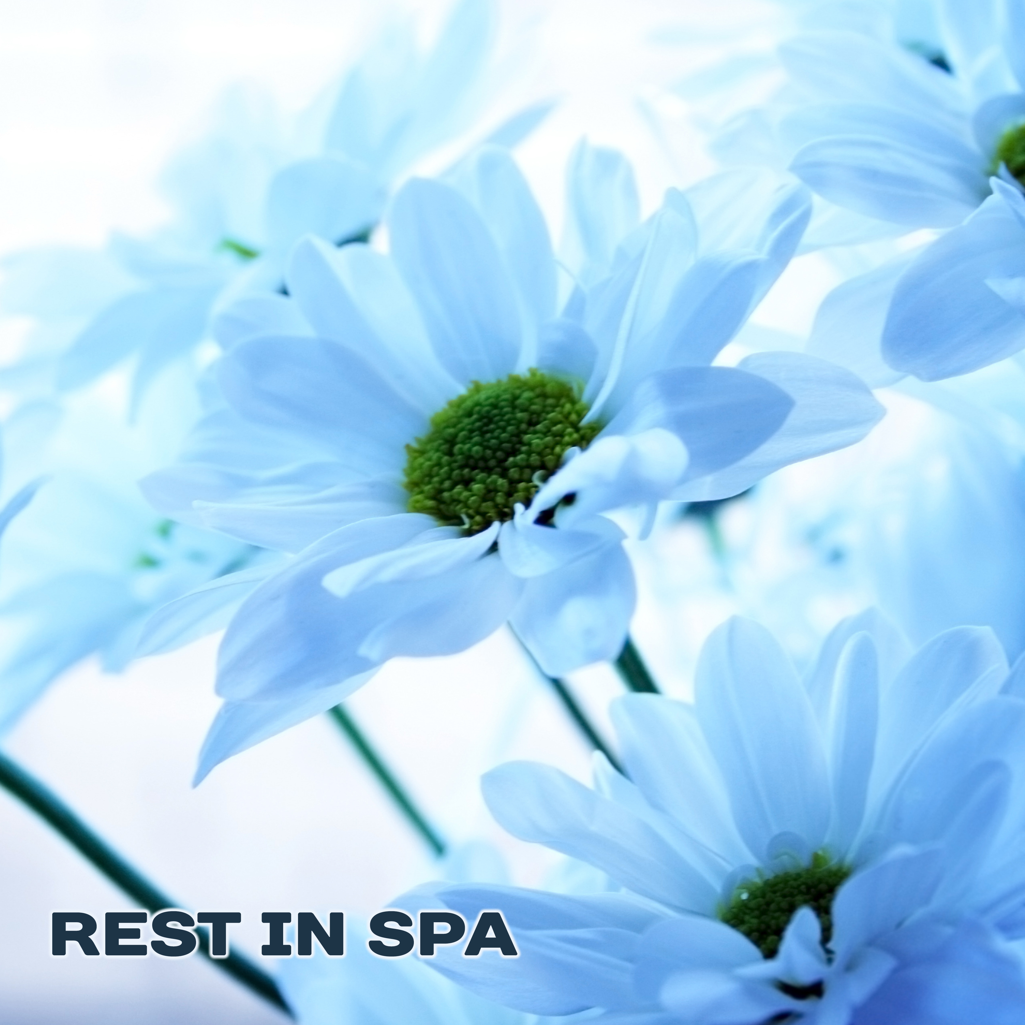 Rest in Spa  Calm New Age Music, Relaxation in Quiet Place, Chilled Melodies, Spiritual Rest