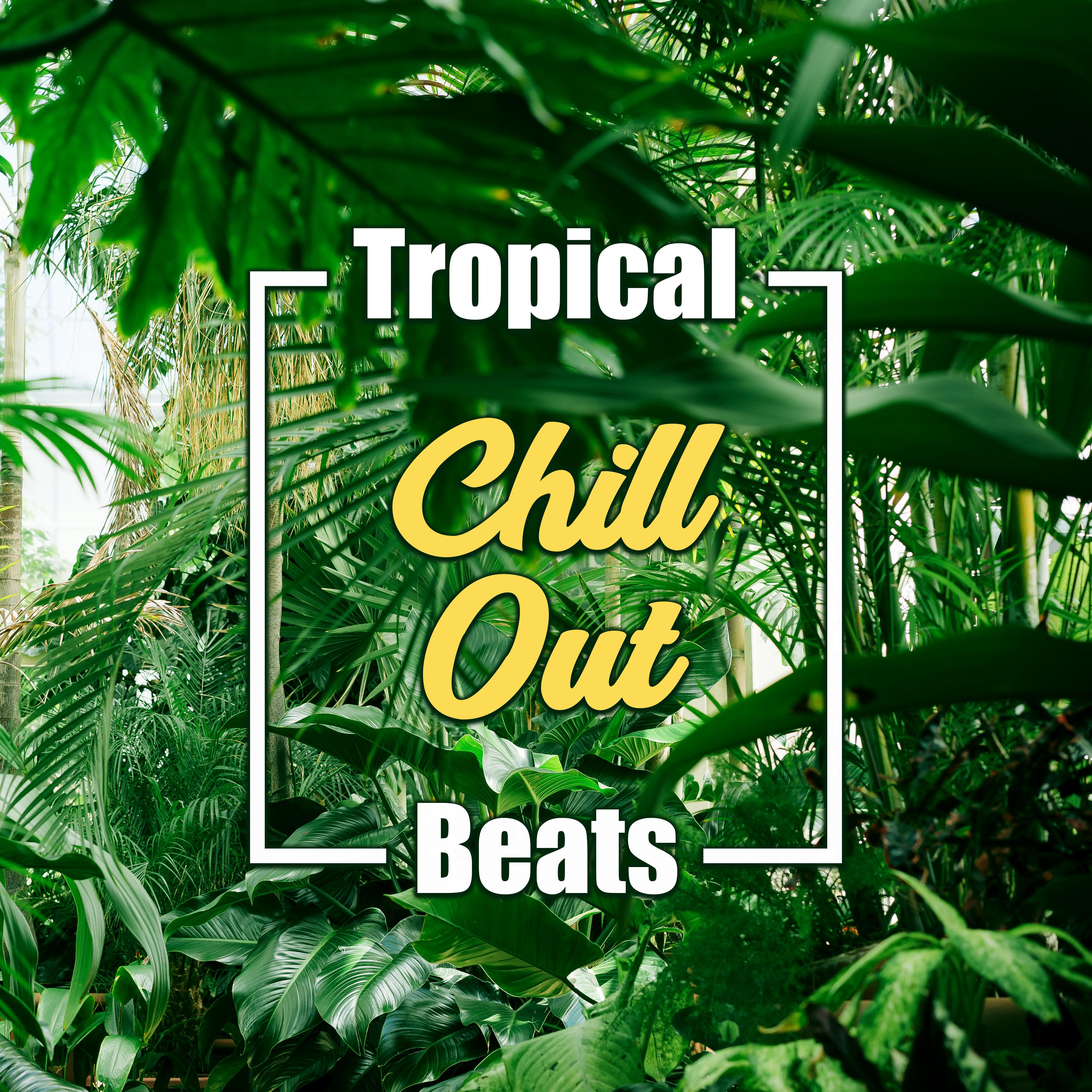 Tropical Chill Out Beats  Summer Rest, Chill Out 2017, Holiday Music, Beach Relaxation, Sunrise Songs