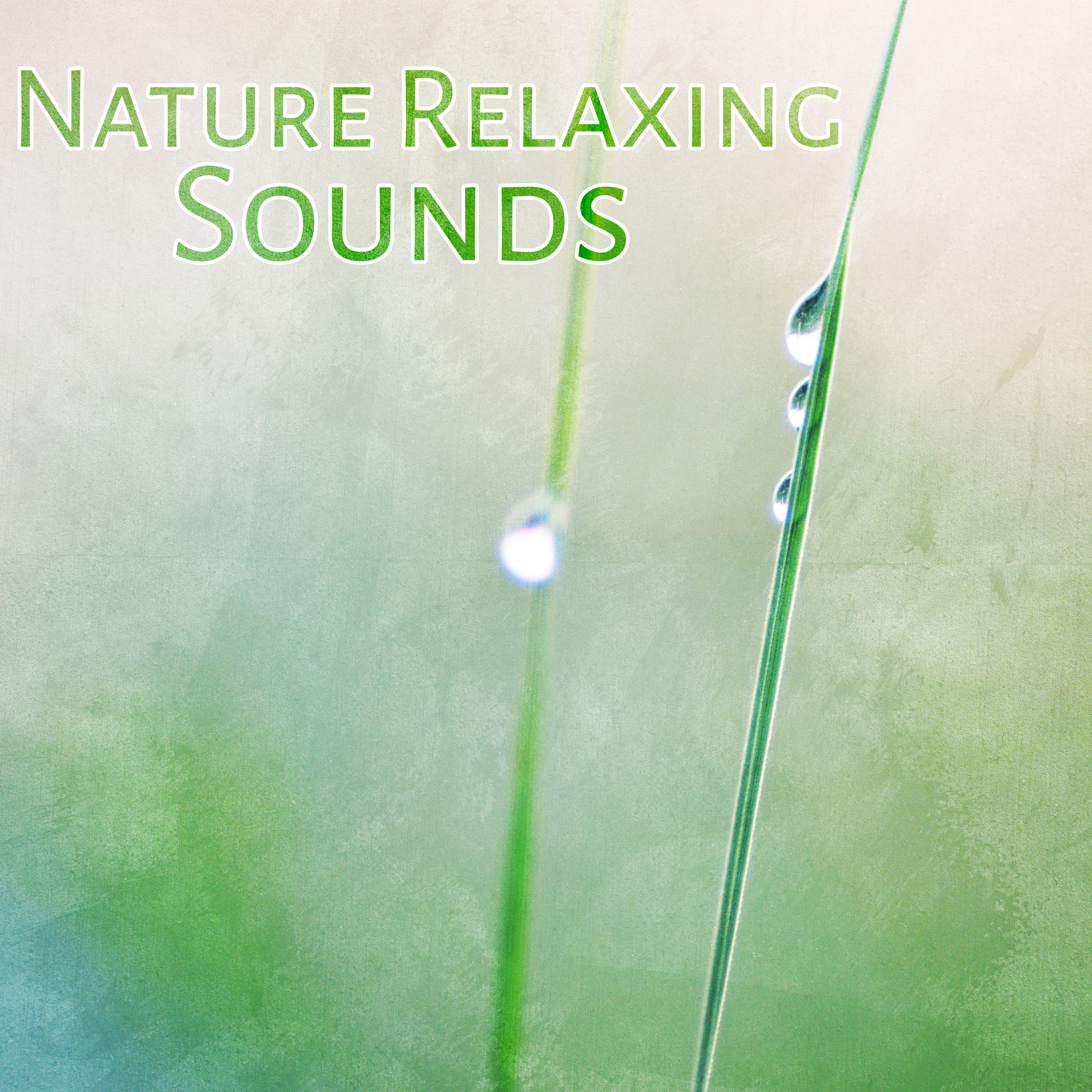 Nature Relaxing Sounds  Calming New Age, Stress Relief, Nature Relaxation, Music to Rest