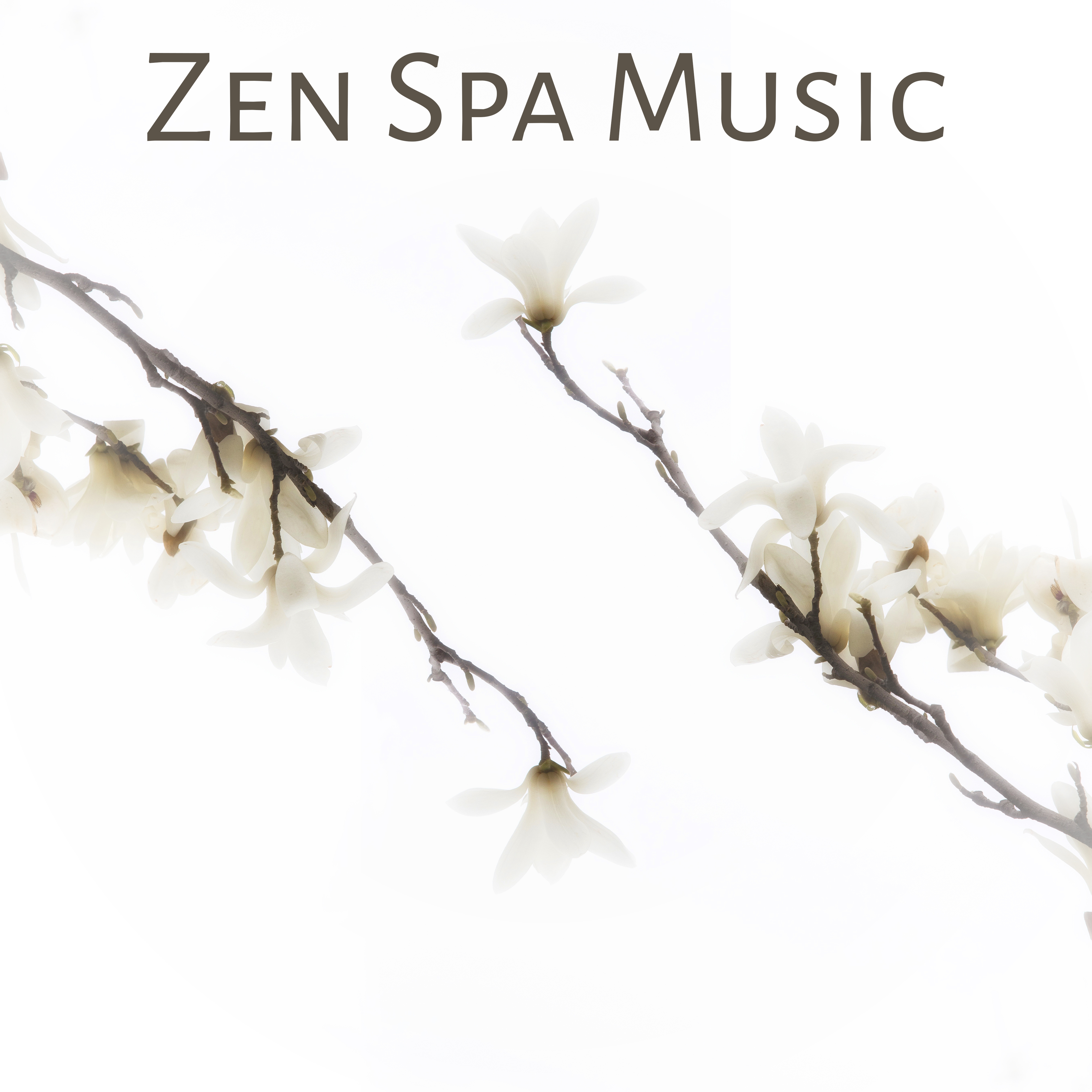 Zen Spa Music  Calming Sounds for Spa Relaxation, Beautiful Moments, Music to Help Rest, Nature Healing
