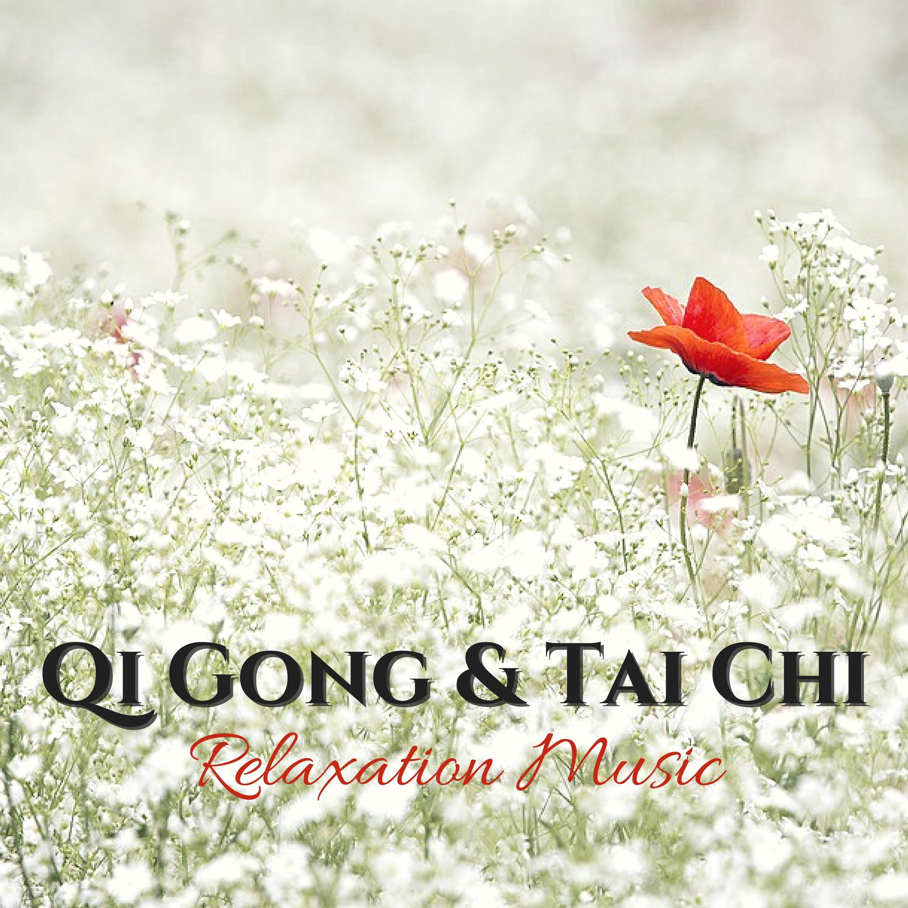 Qi Gong & Tai Chi Relaxation Music - Raise Vitality Levels and Relax Deeply with Instrumental Music