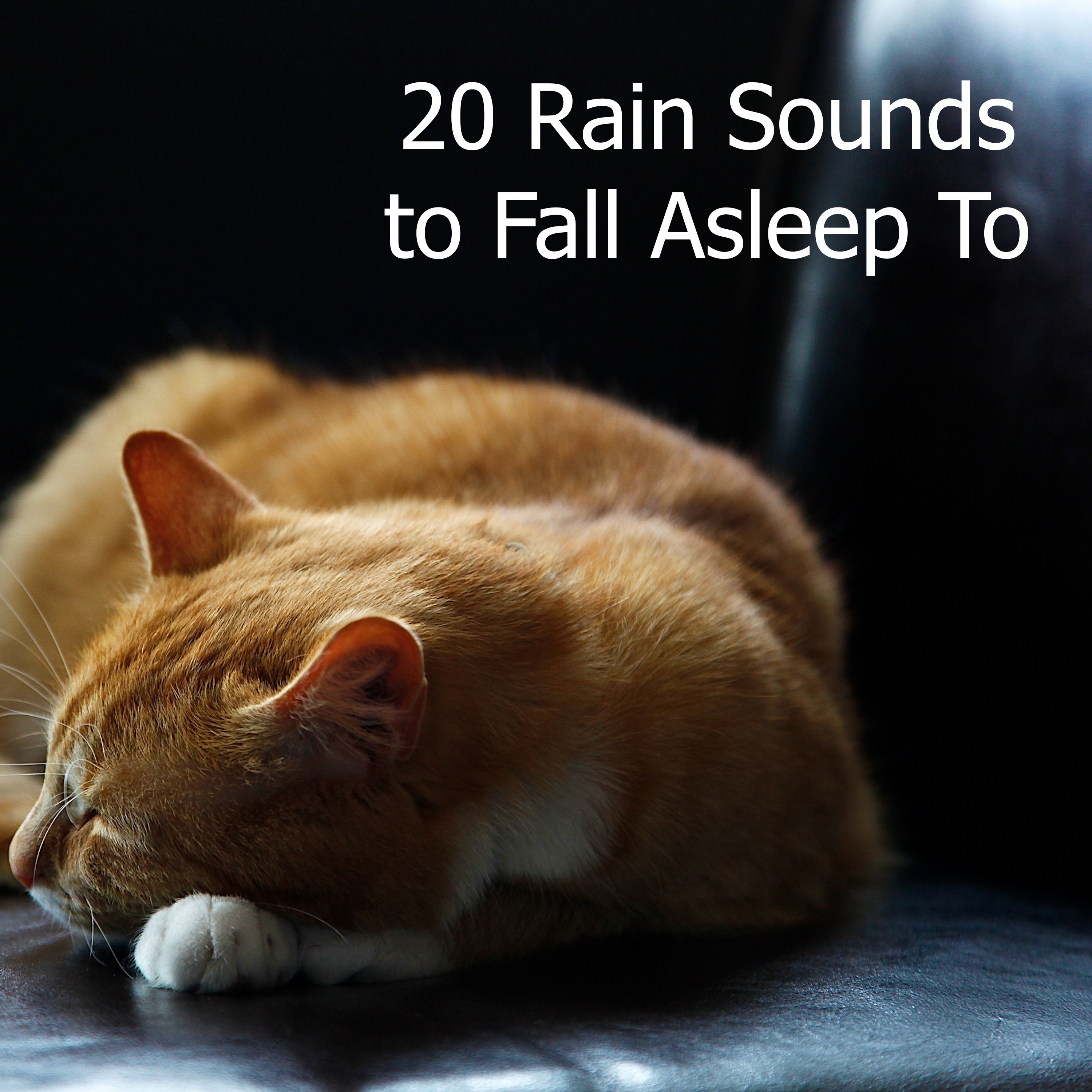 19 Rain Sounds to Fall Asleep To