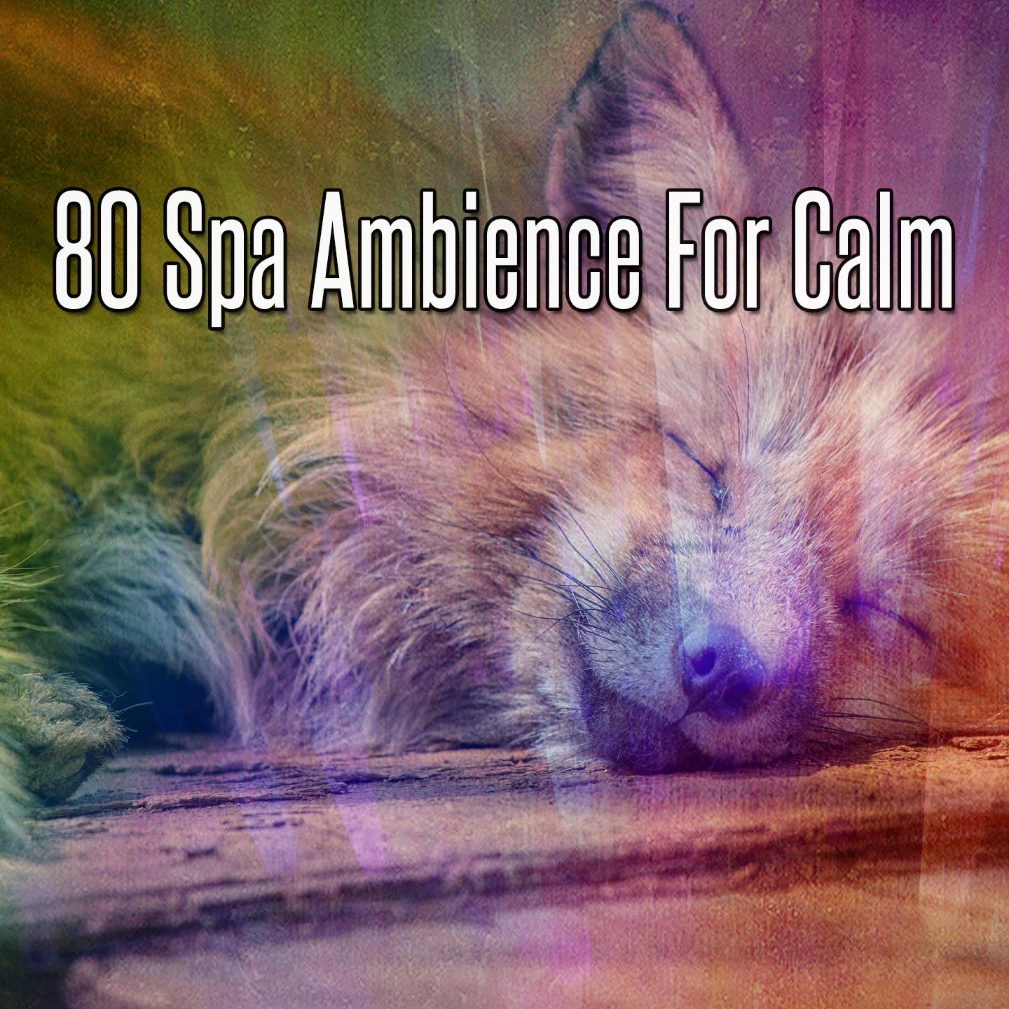 80 Spa Ambience For Calm