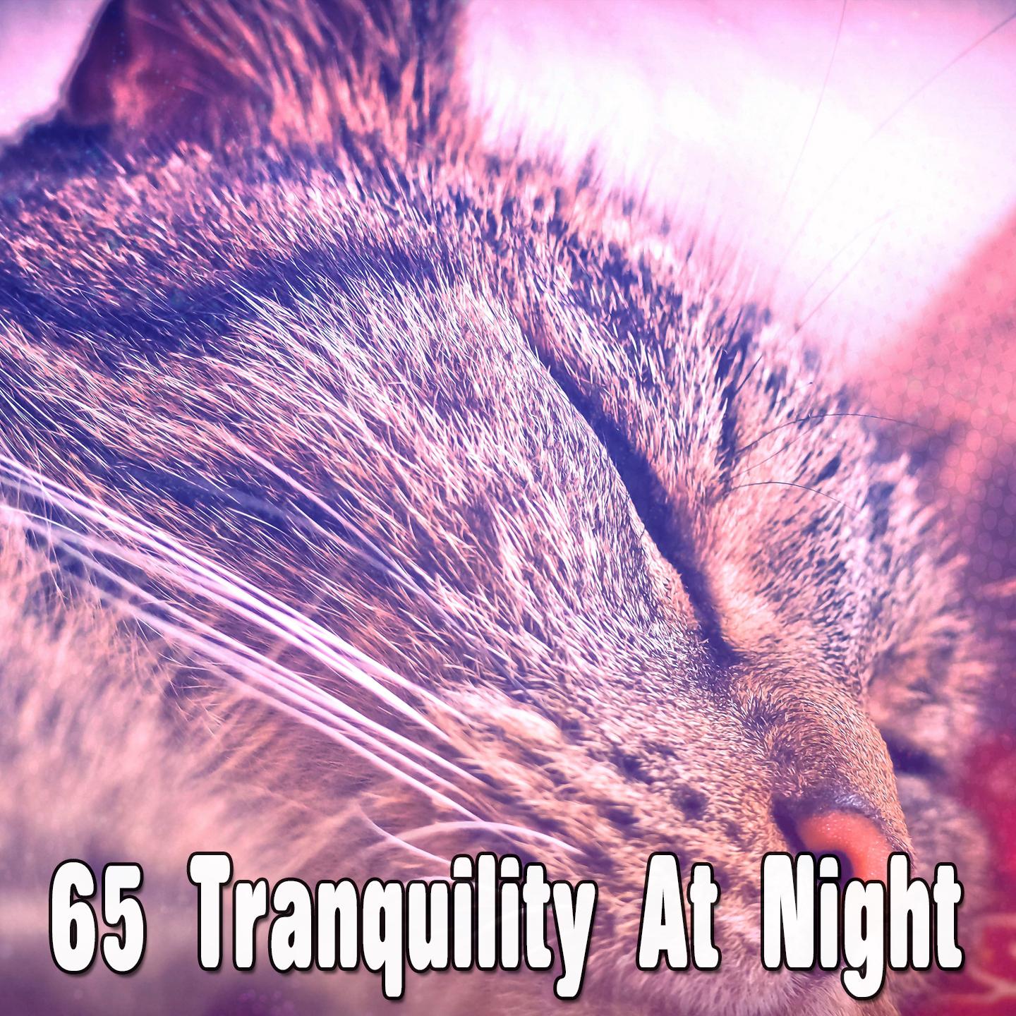 65 Tranquility At Night
