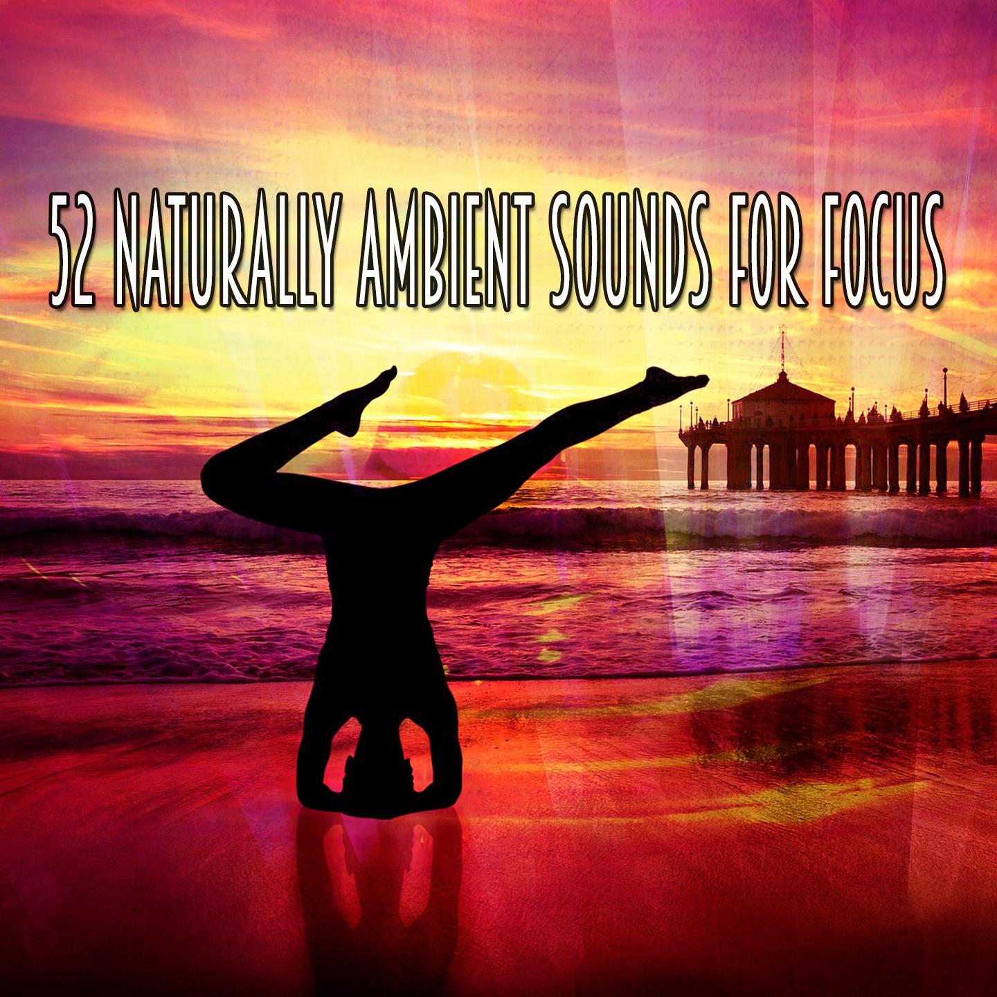 52 Naturally Ambient Sounds For Focus