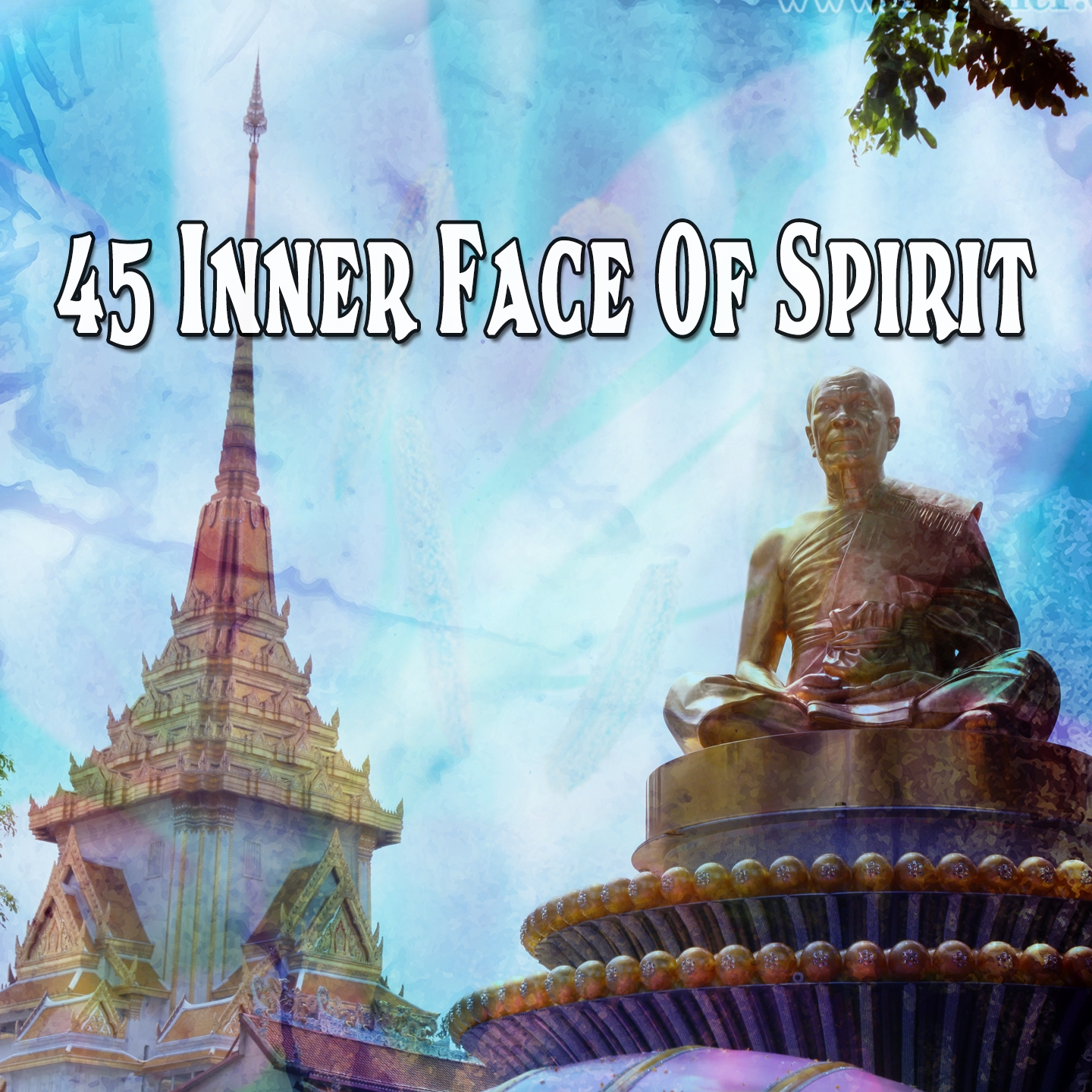 45 Inner Face Of Spirit