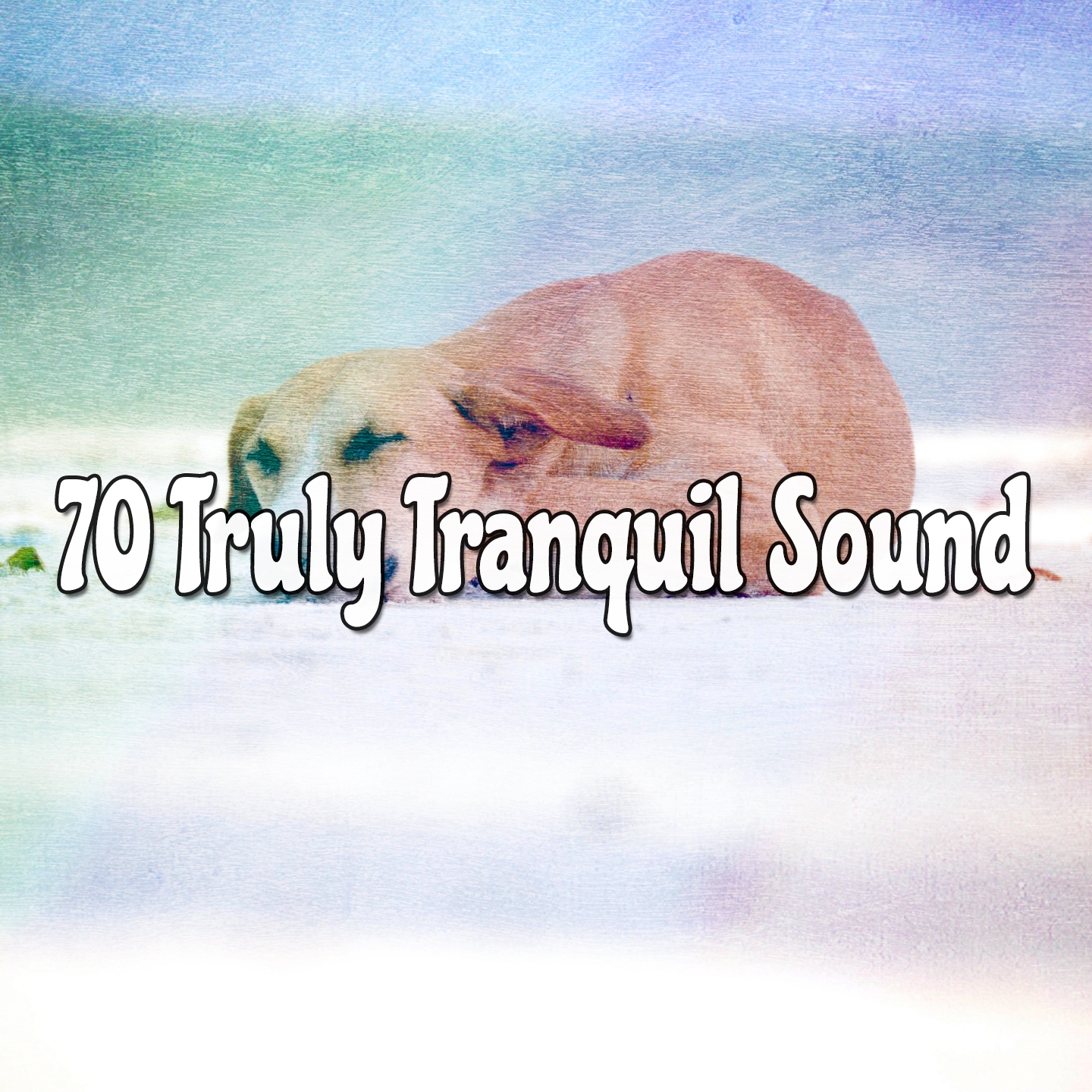 70 Truly Tranquil Sound