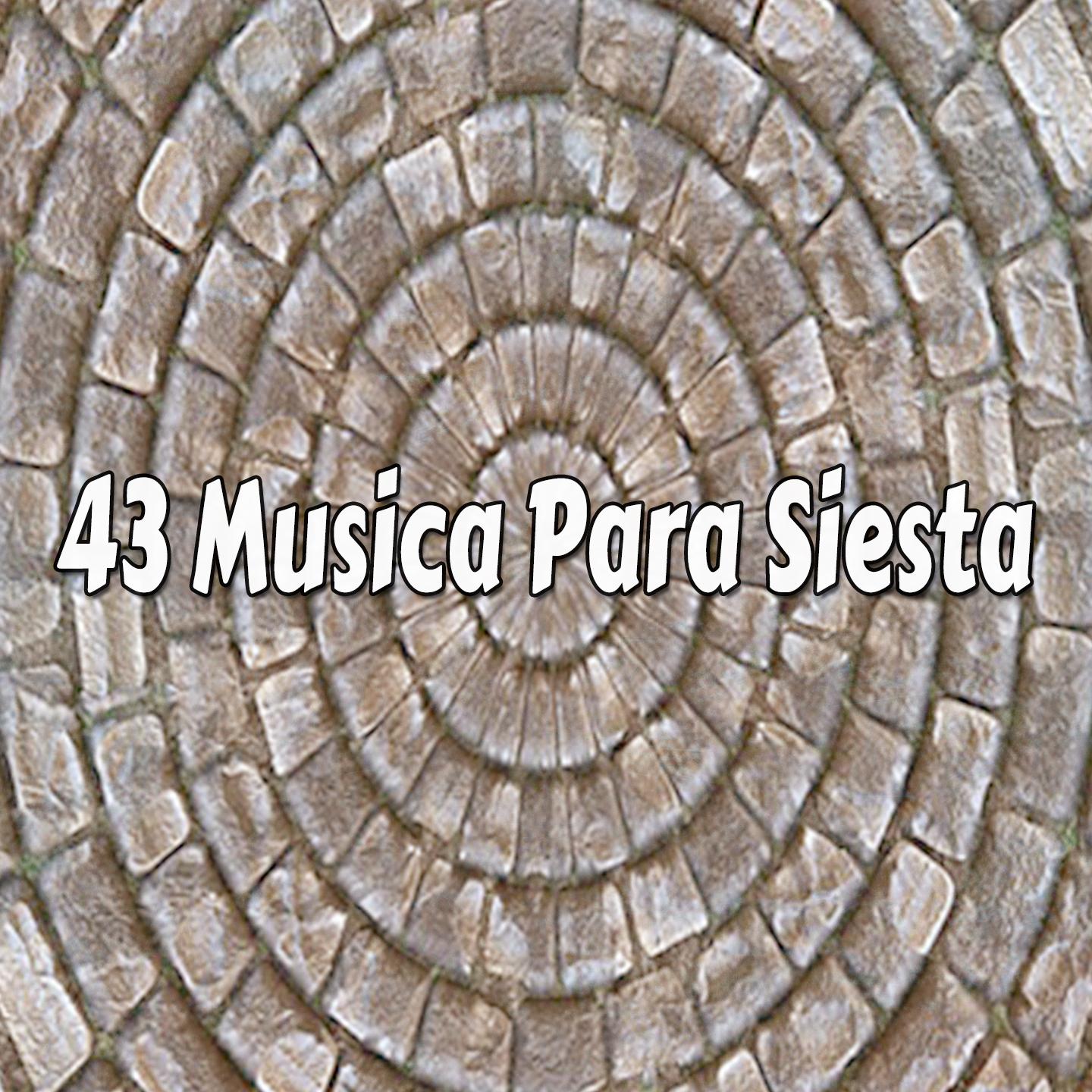 43 Musica Para Siesta