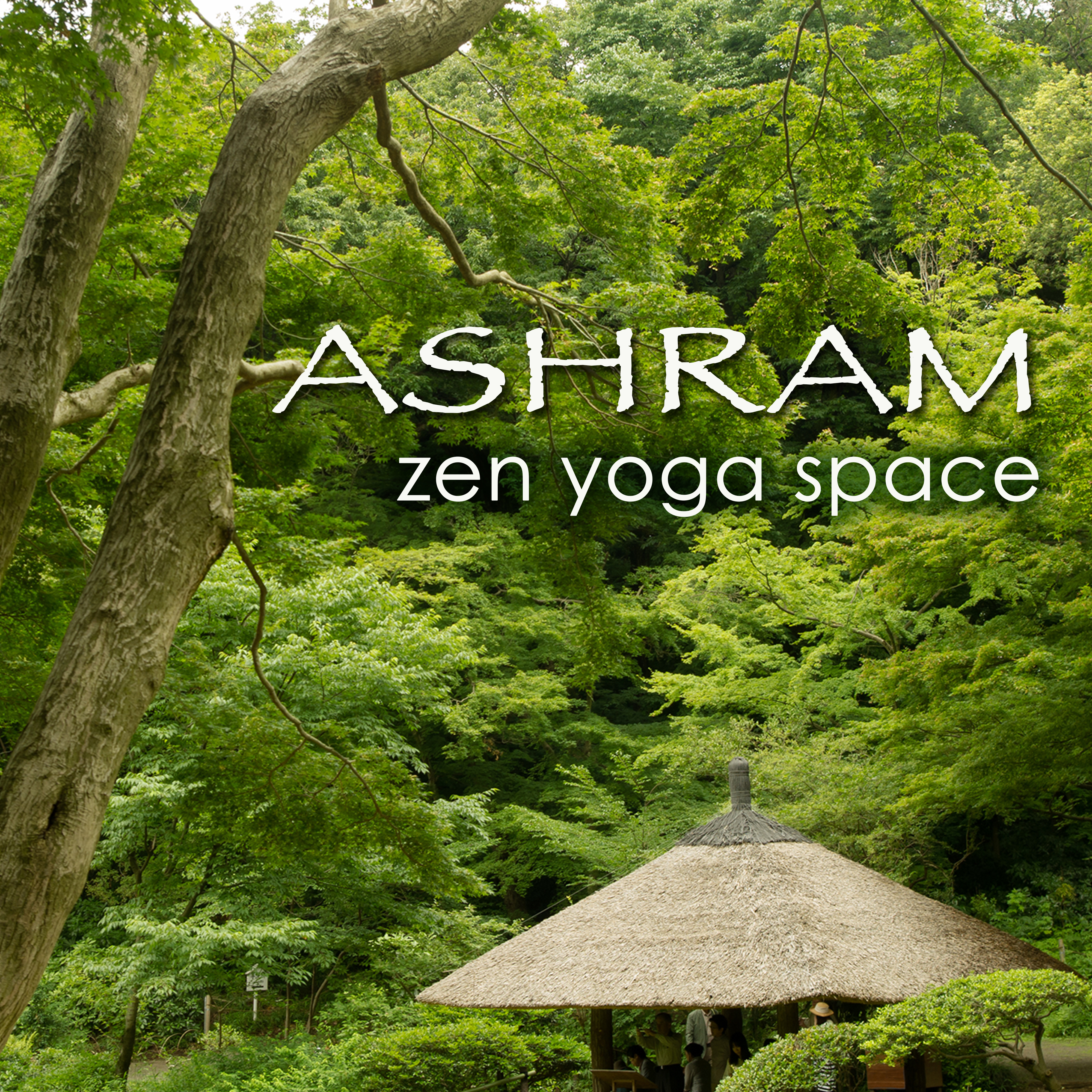 Ashram  Zen Yoga Space surrounded by Nature for Meditation, Pranayama and Yoga Lesson with Peace of Mind