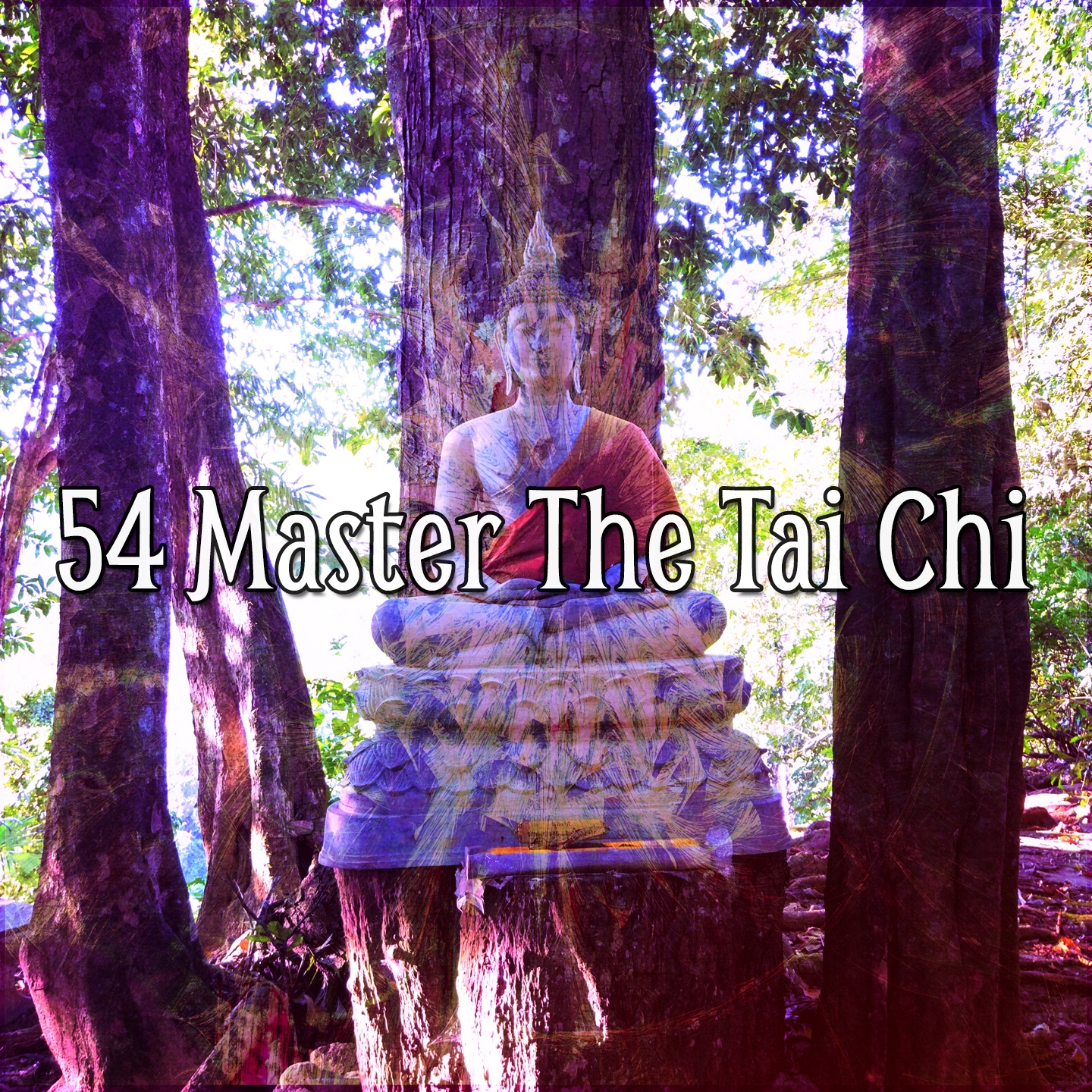 54 Master The Tai Chi