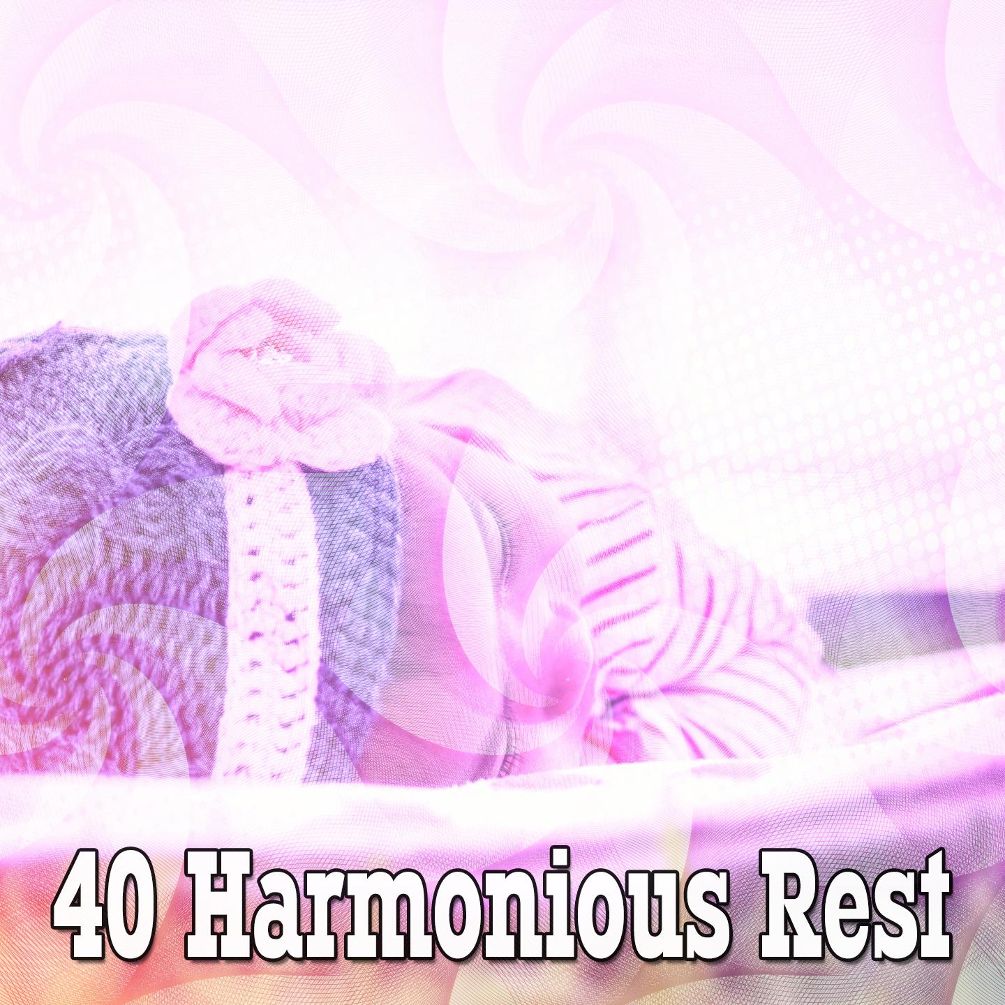 40 Harmonious Rest