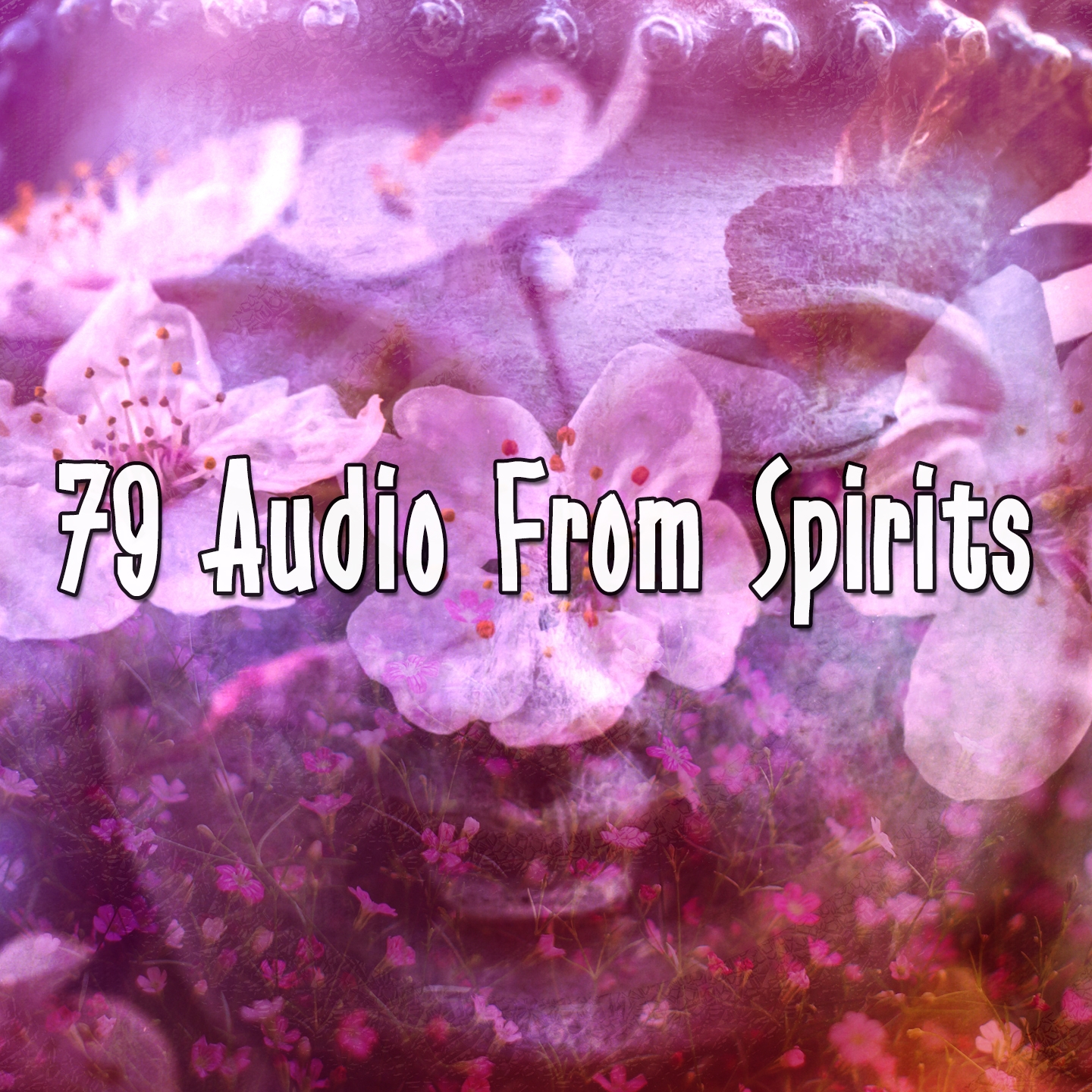 79 Audio From Spirits