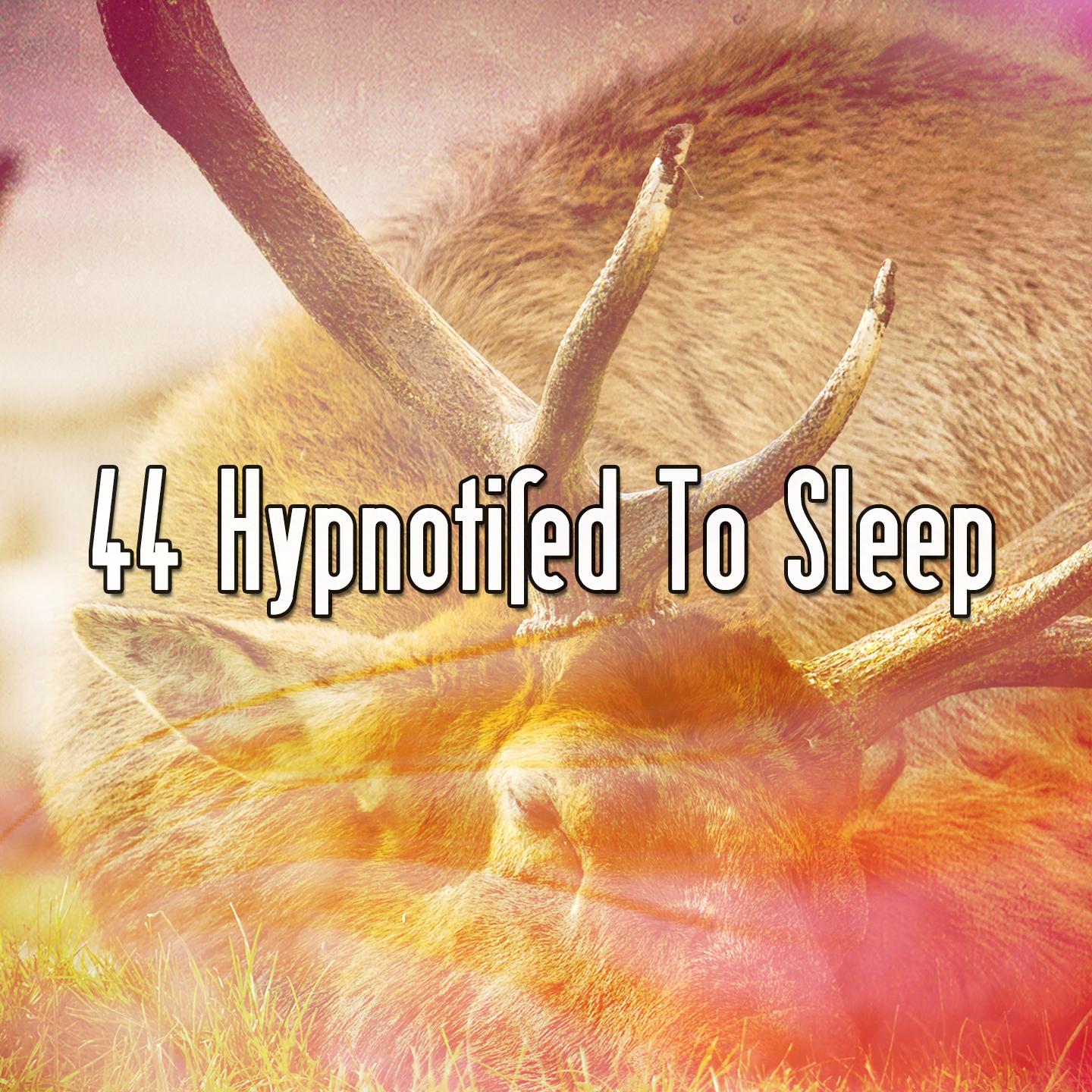 44 Hypnotised To Sleep