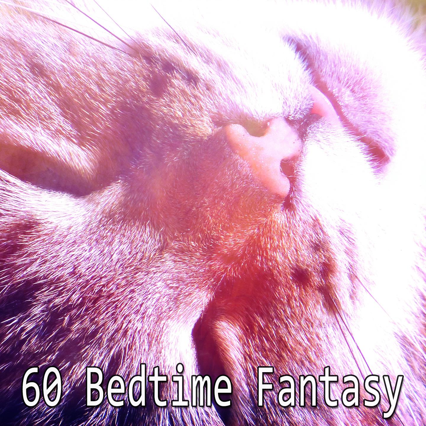 60 Bedtime Fantasy