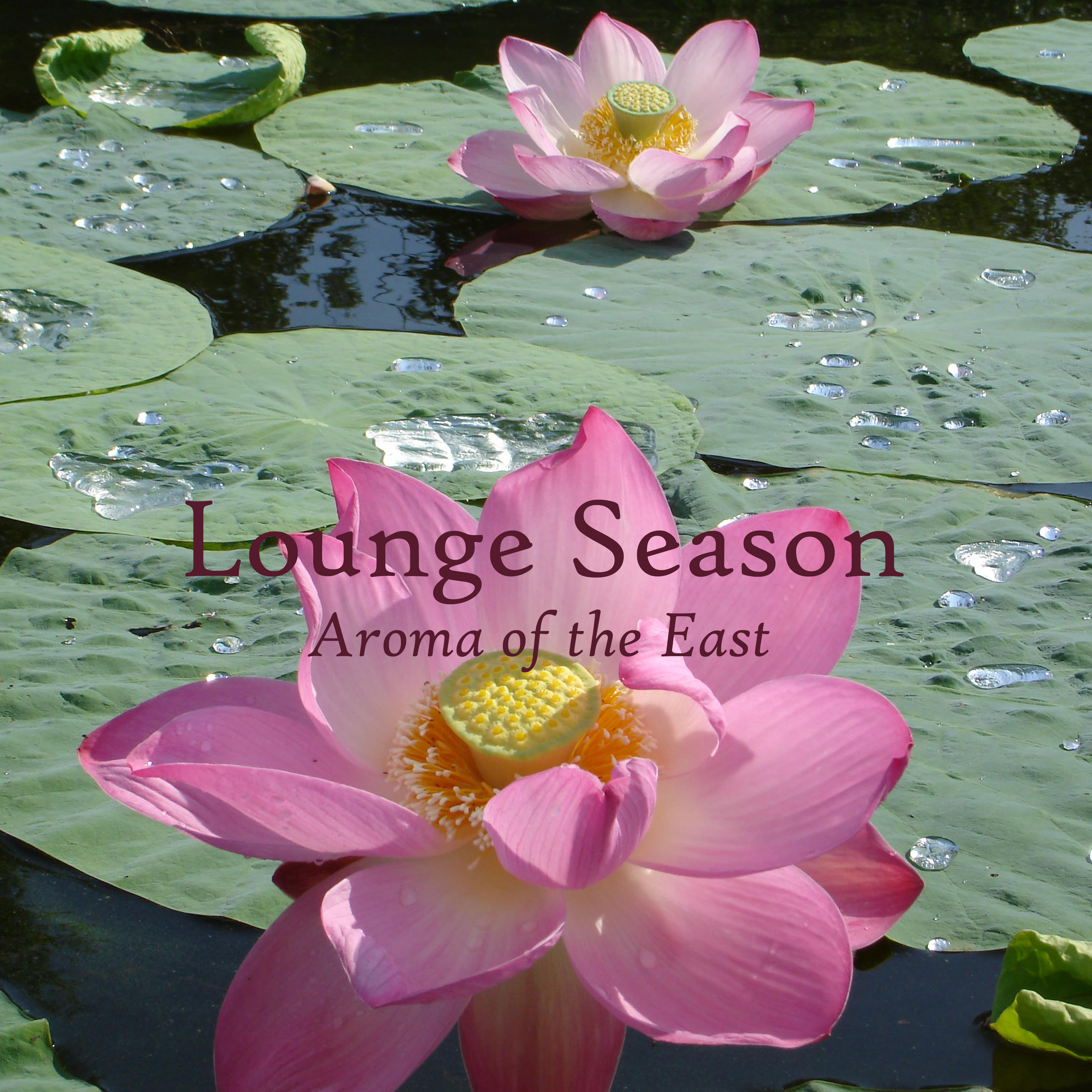 Lounge Season: Aroma of the East