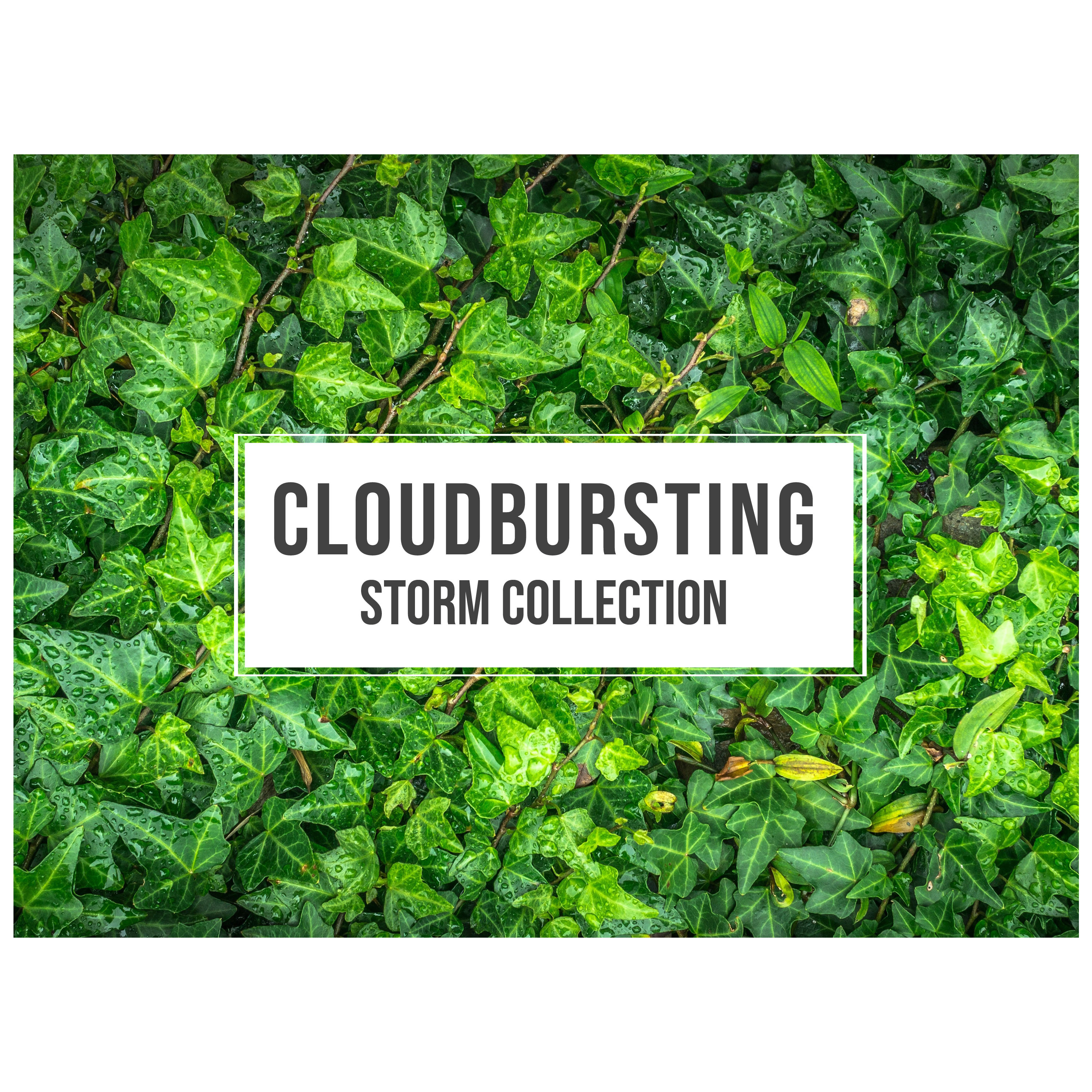 #17 Cloudbursting Storm Collection