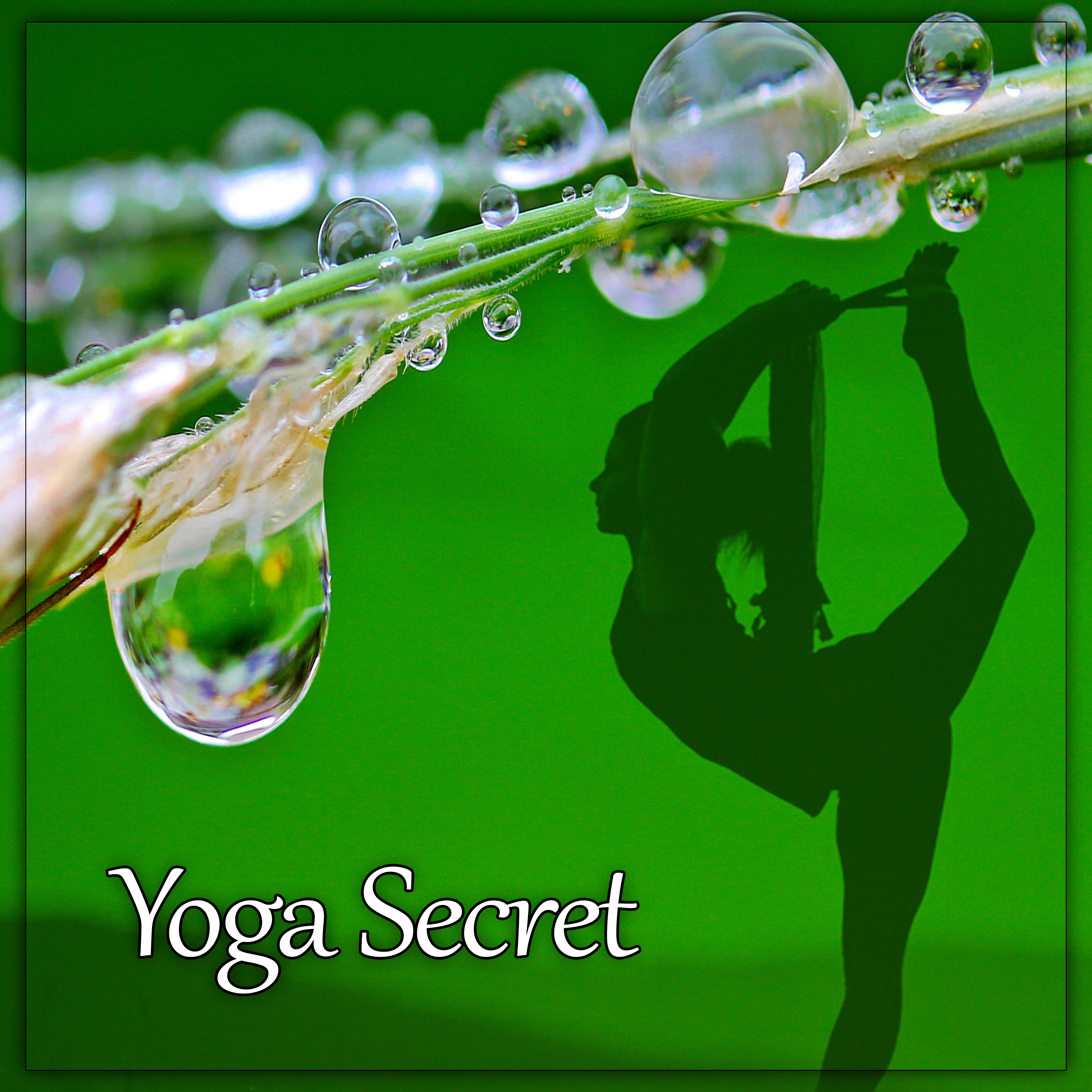 Yoga Secret  Briliant Sounds of Nature for Yoga Meditation, New Age, Yoga Music for Deep Meditation  Relax