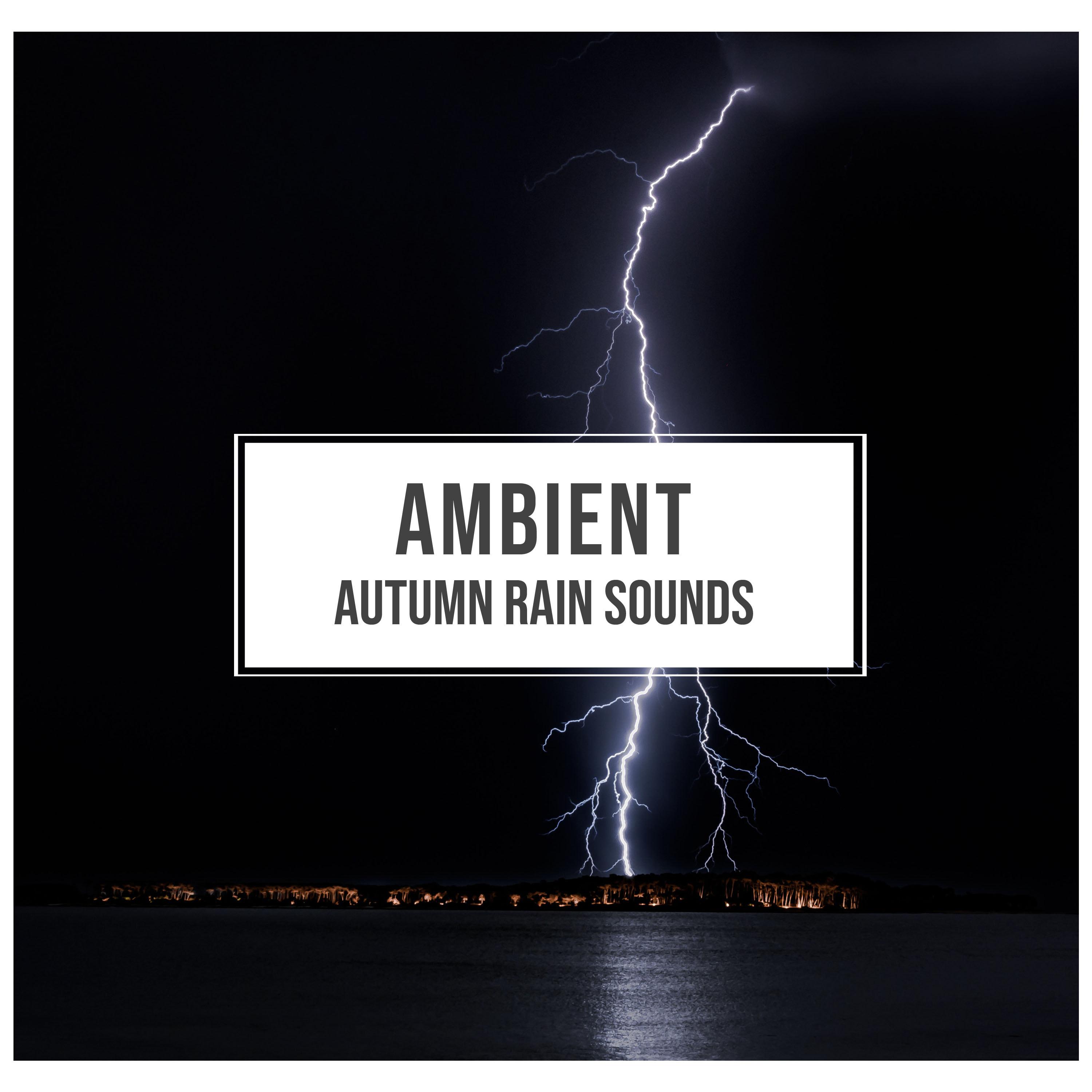 #17 Ambient Autumn Rain Sounds