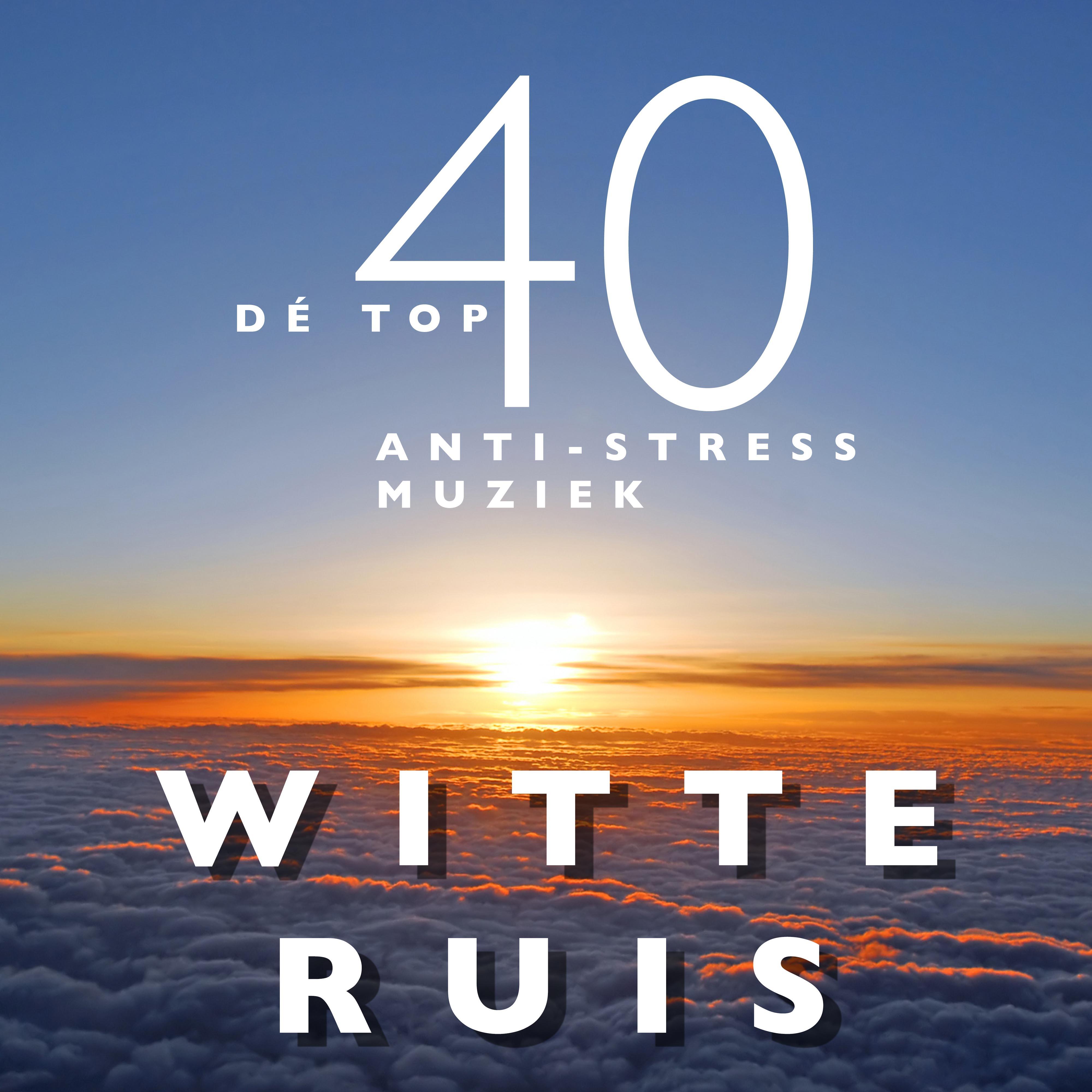 Witte Ruis  De top 40 bewezen AntiStress Muziek