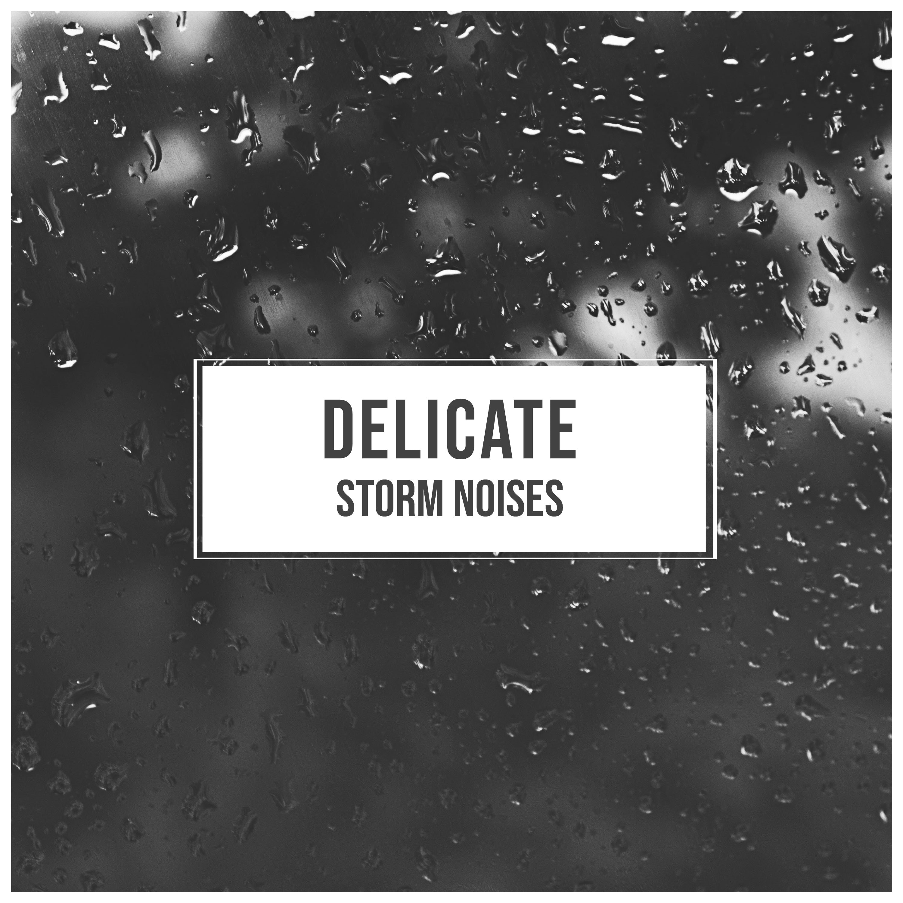 #10 Delicate Storm Noises from Nature