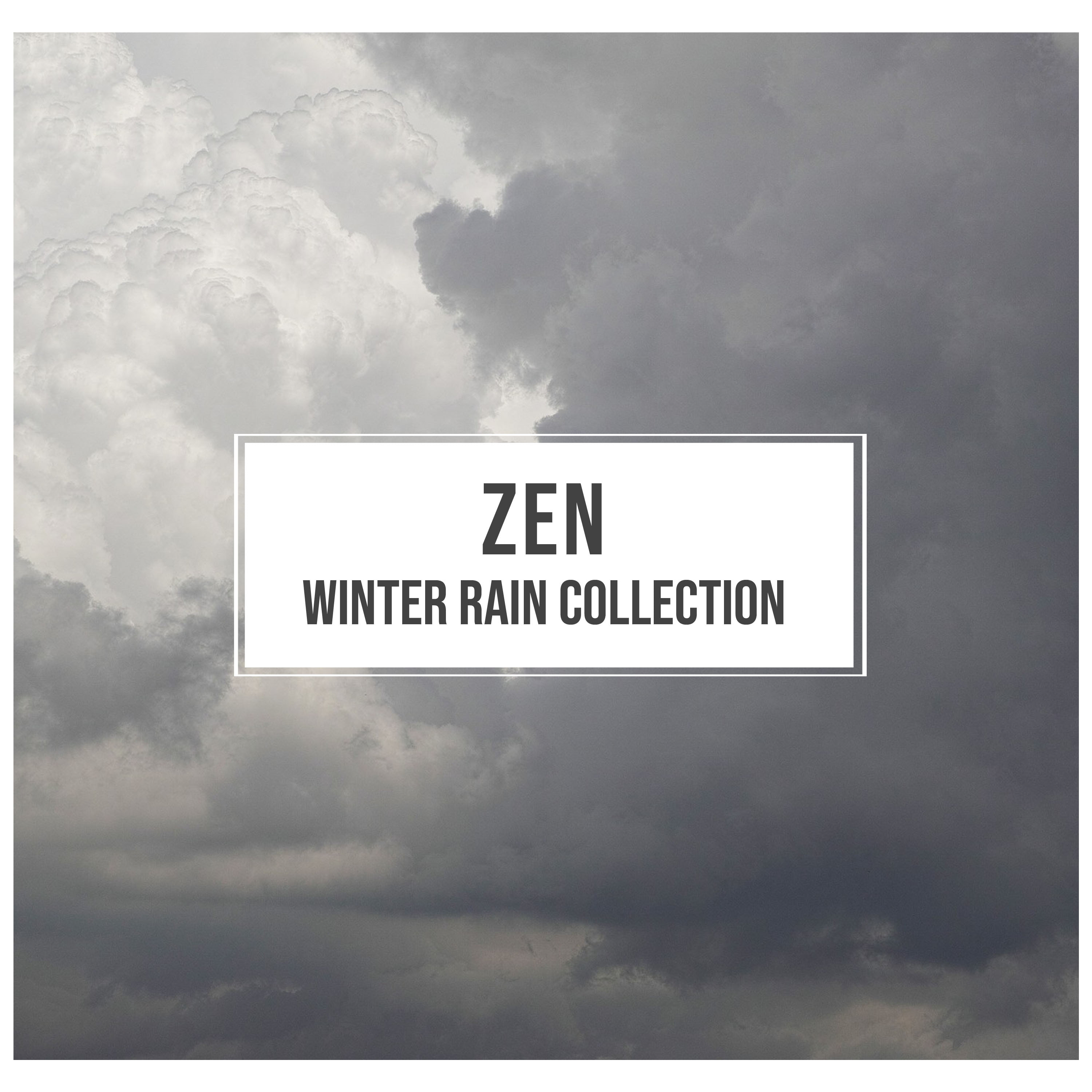 #10 Zen Winter Rain Collection