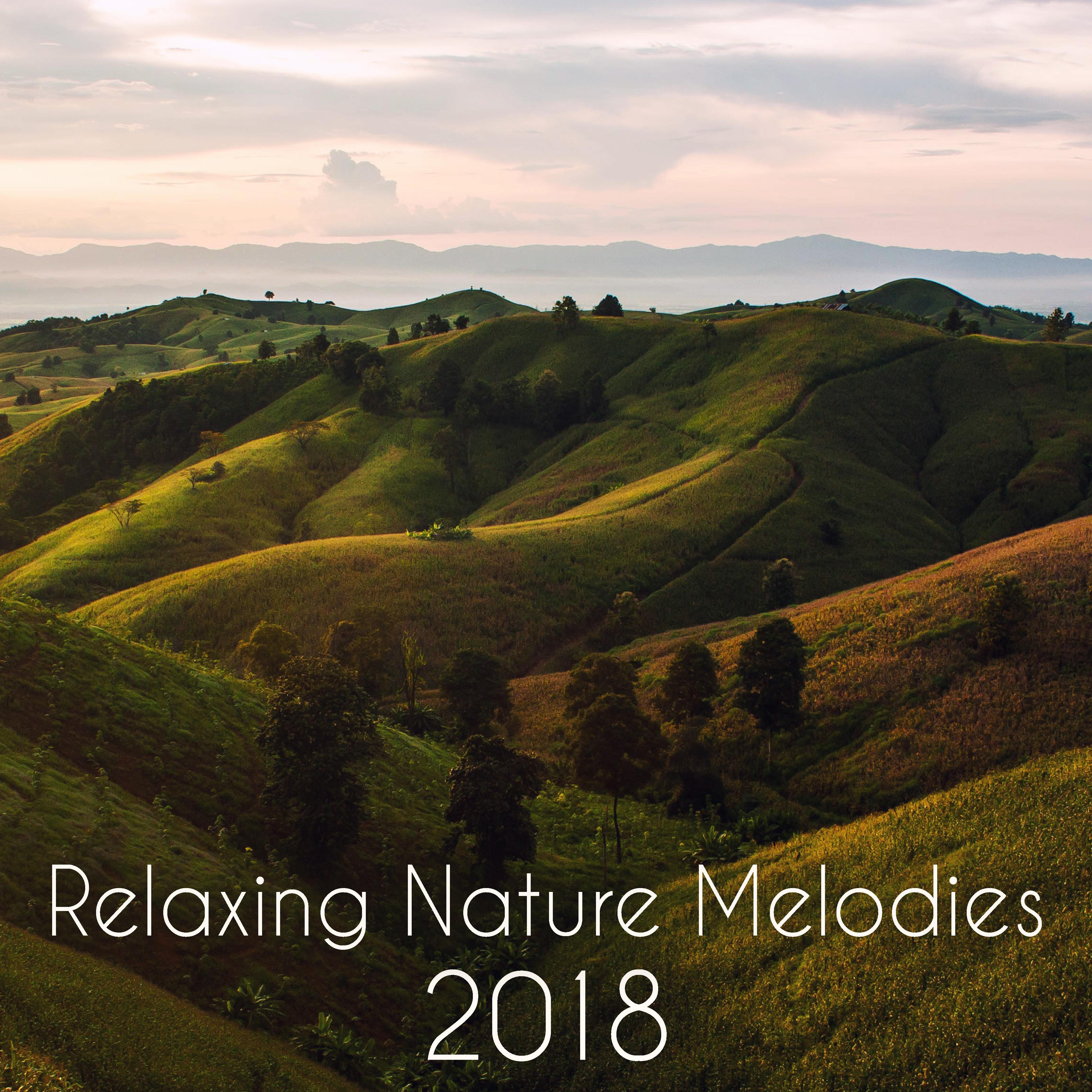Relaxing Nature Melodies 2018