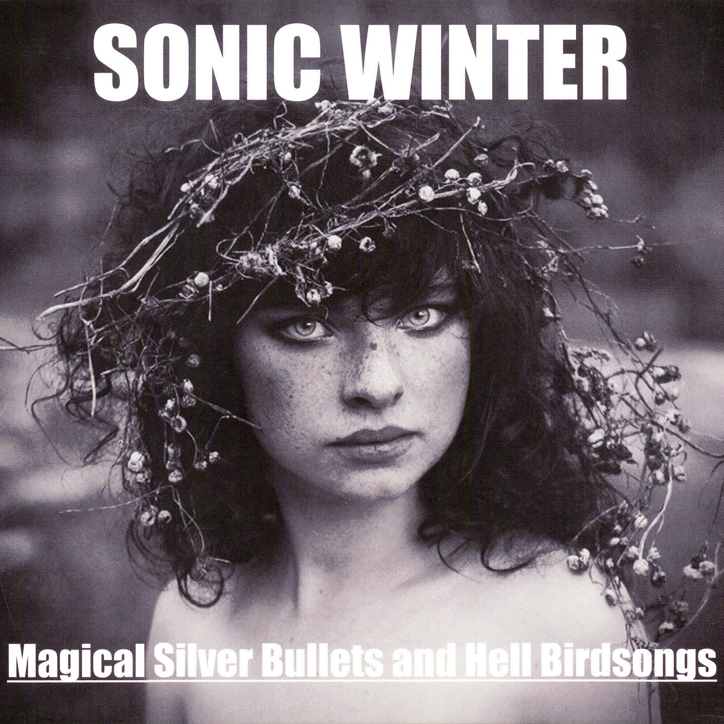 Magical Silver Bullets and Hell Birdsongs