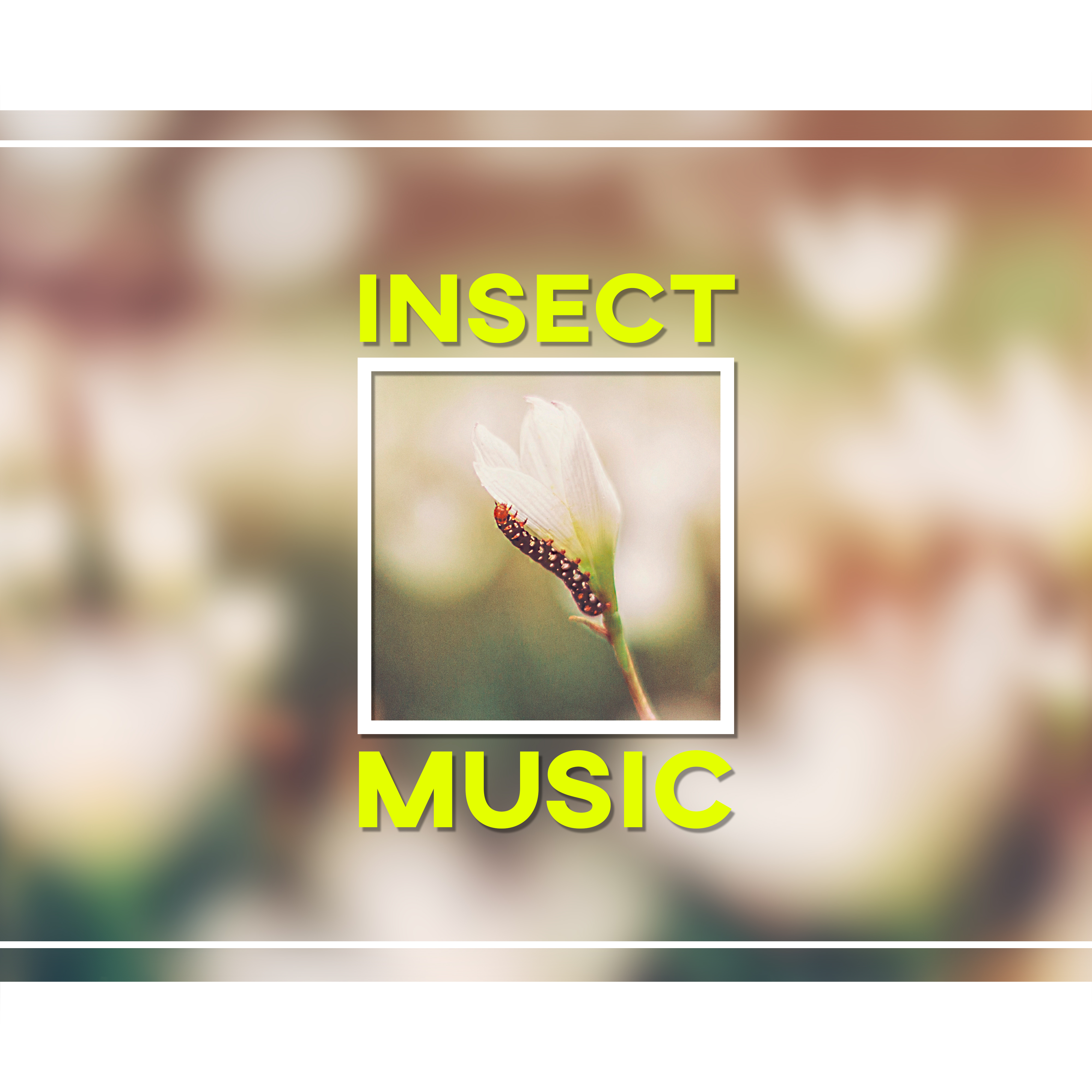 Insect Music  Butterfly, Fruit, Flowers, Tree, Green, Ripple