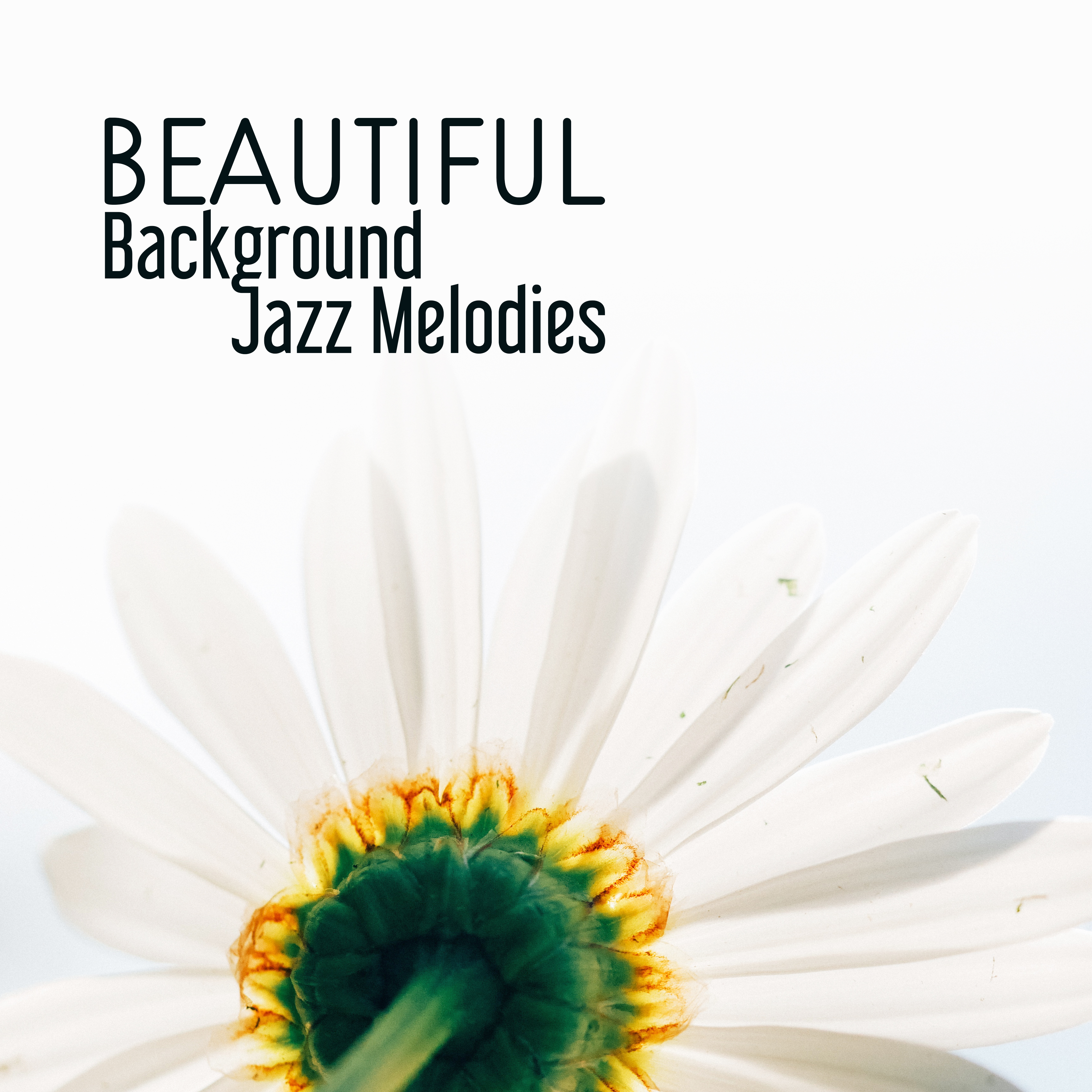 Beautiful Background Jazz Melodies