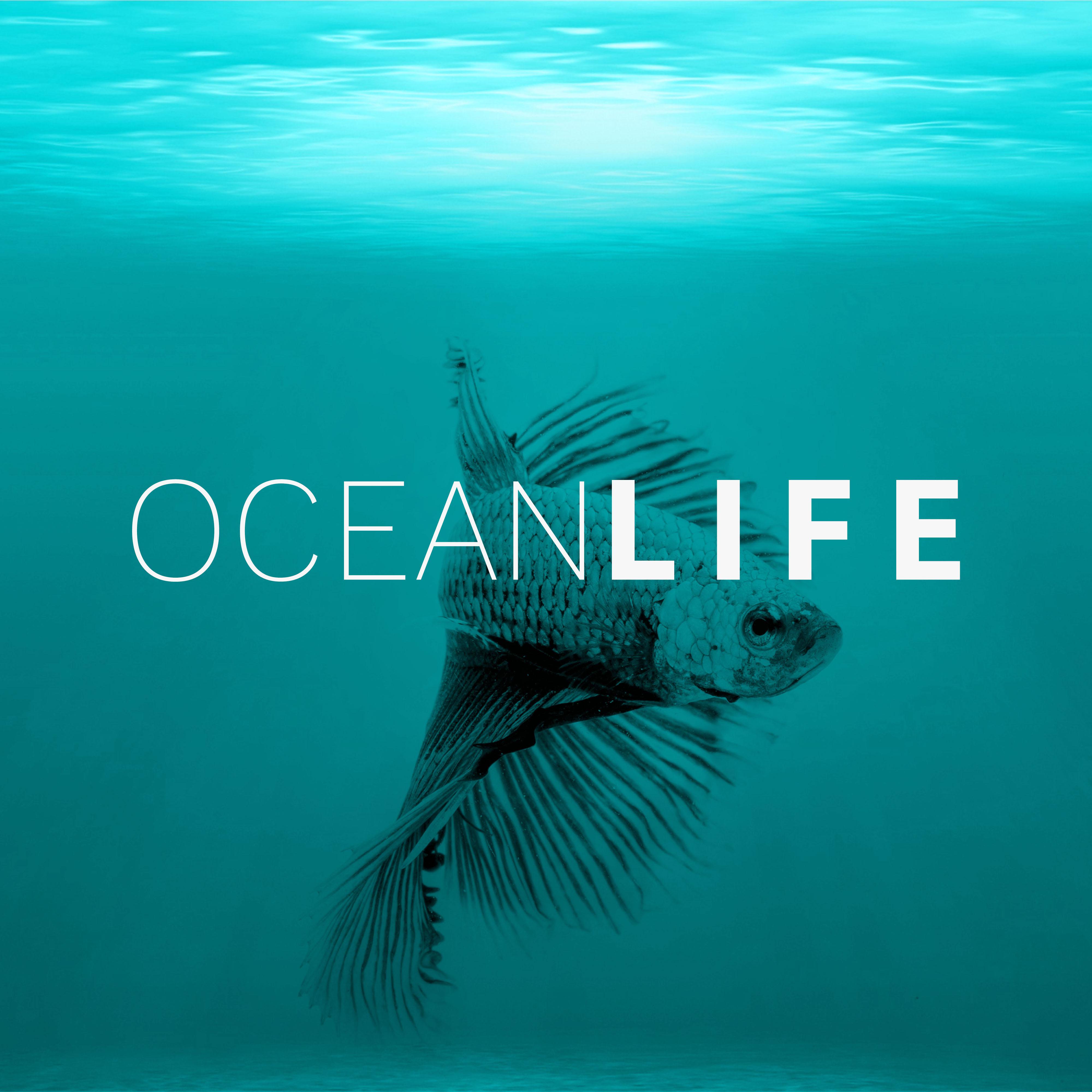 Ocean Life  Healing Water, Soft Music, New Age Relaxation, Sea Waves, Rain Sounds