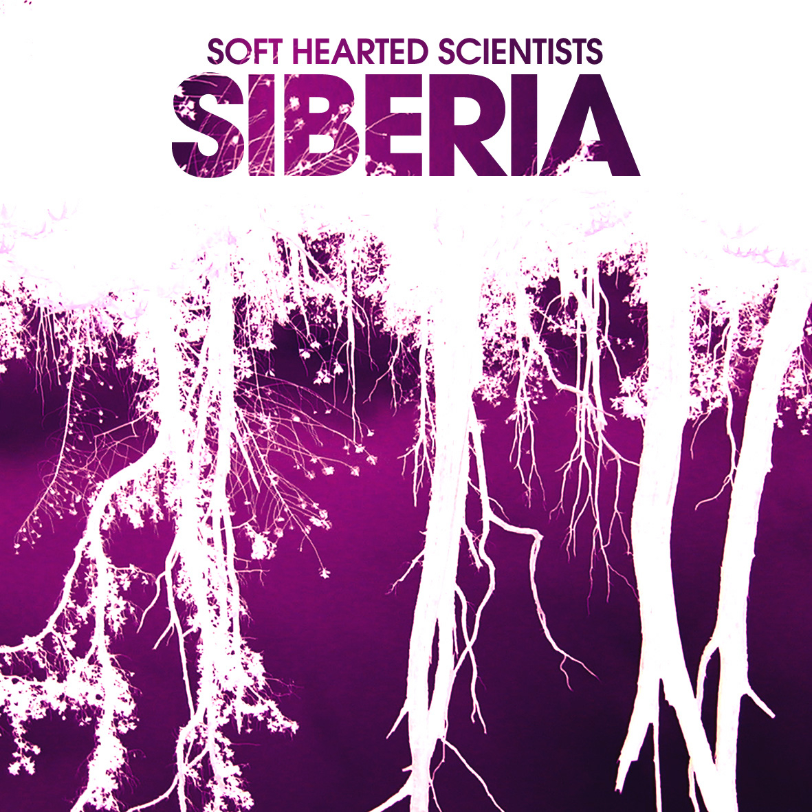 Siberia