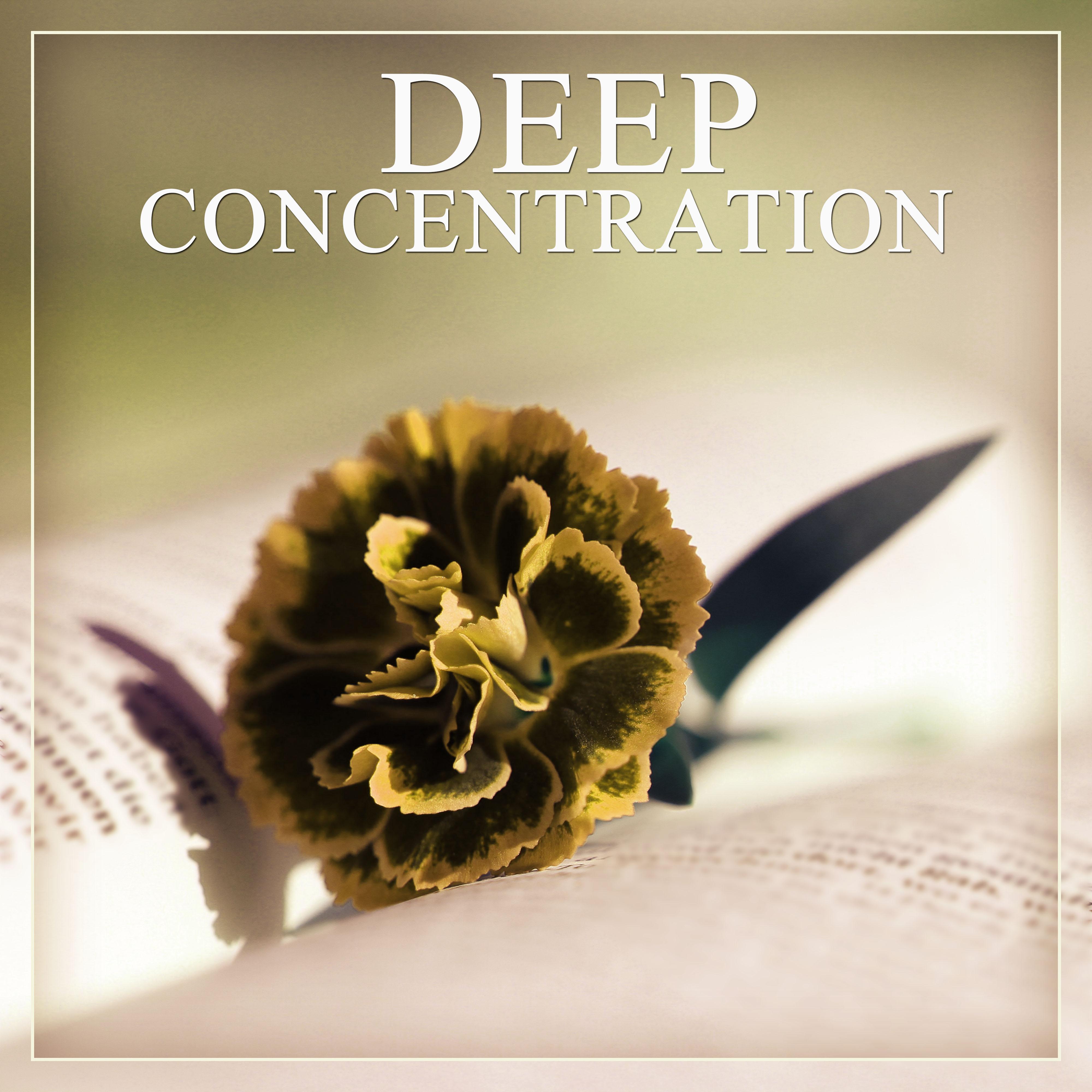 Deep Concentration  Nature Sounds, Healing Music, Relaxing Study, Soft Music, Restful