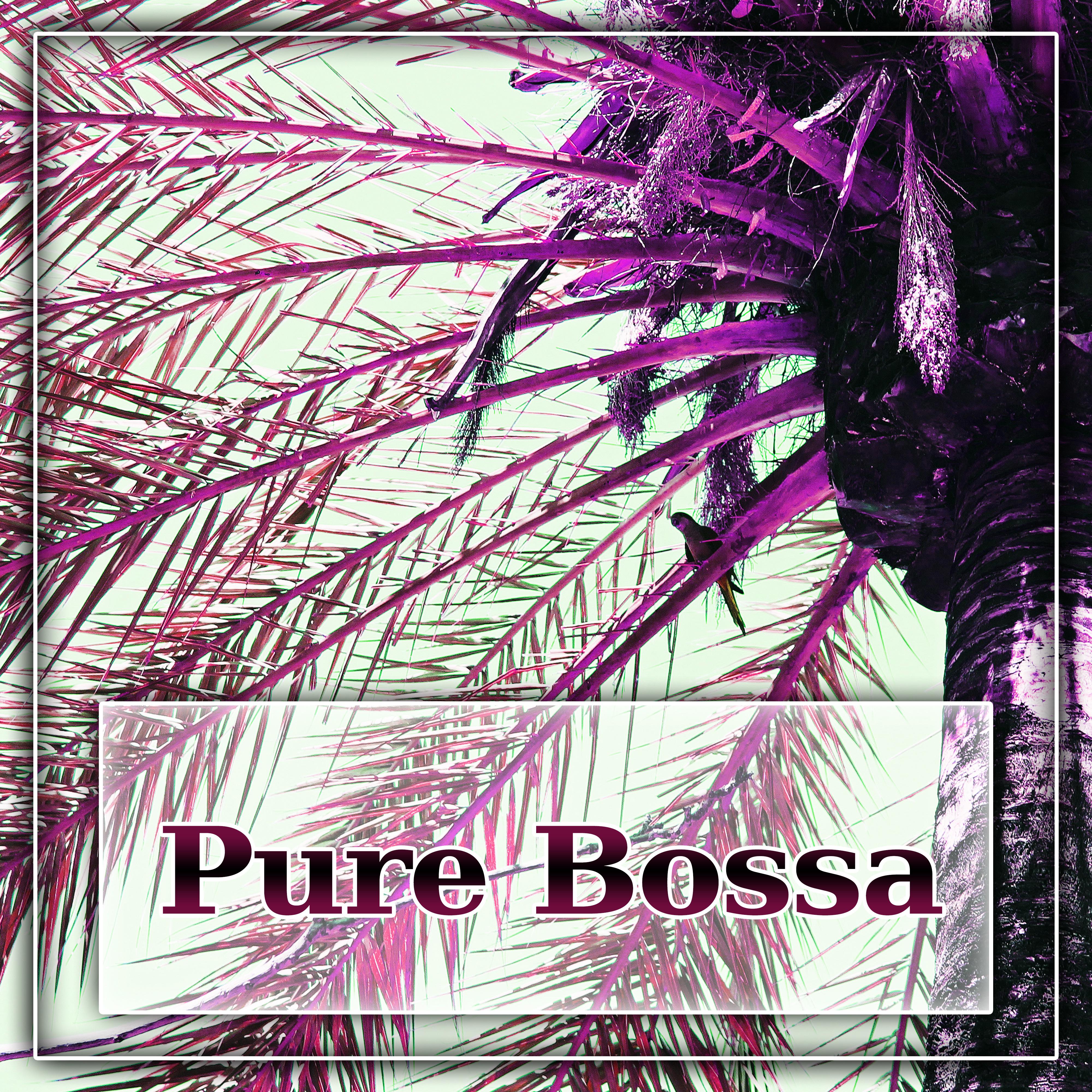 Pure Bossa - Stretching Chill Out, Electronic Vibes, Chill Out Stream, Ibiza Beach