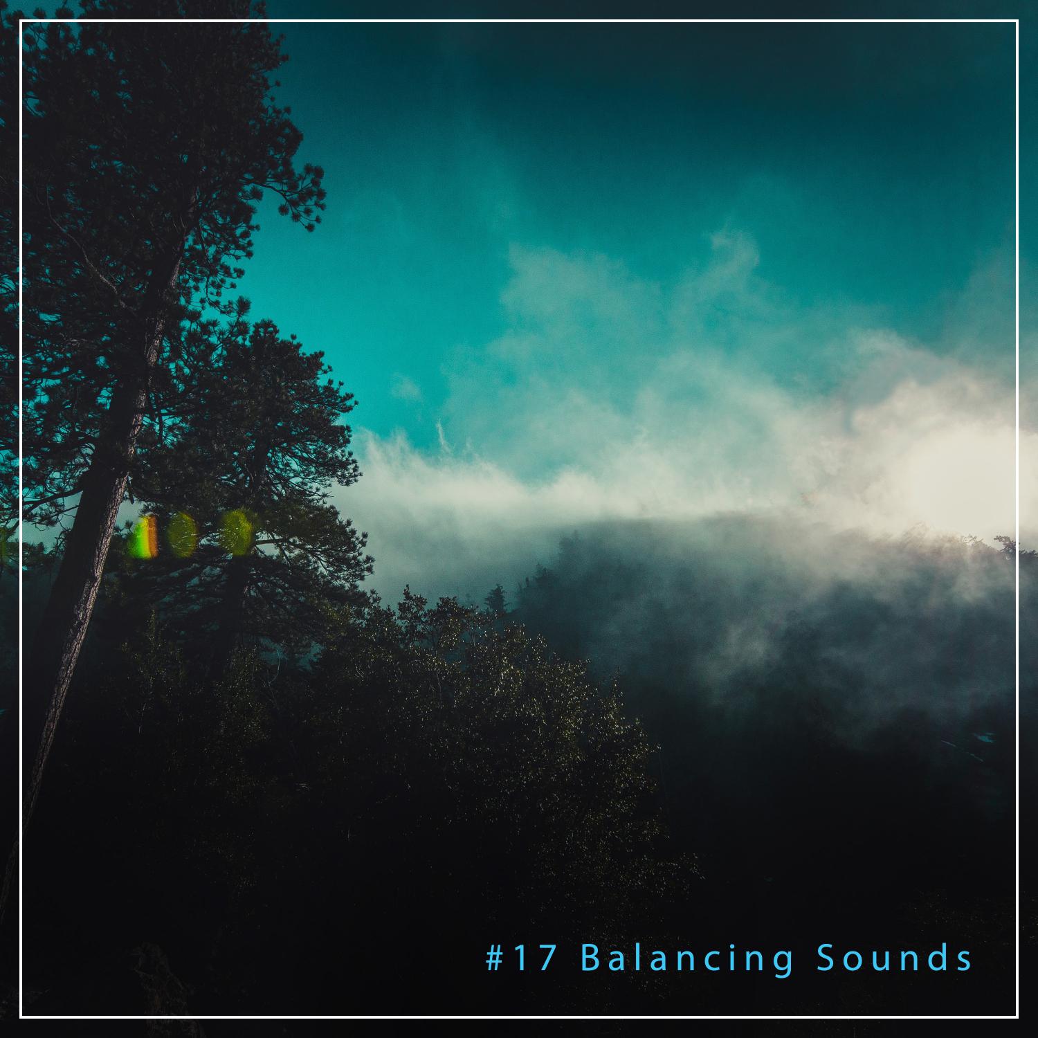 #17 Balancing Sounds for a Deep Sleep