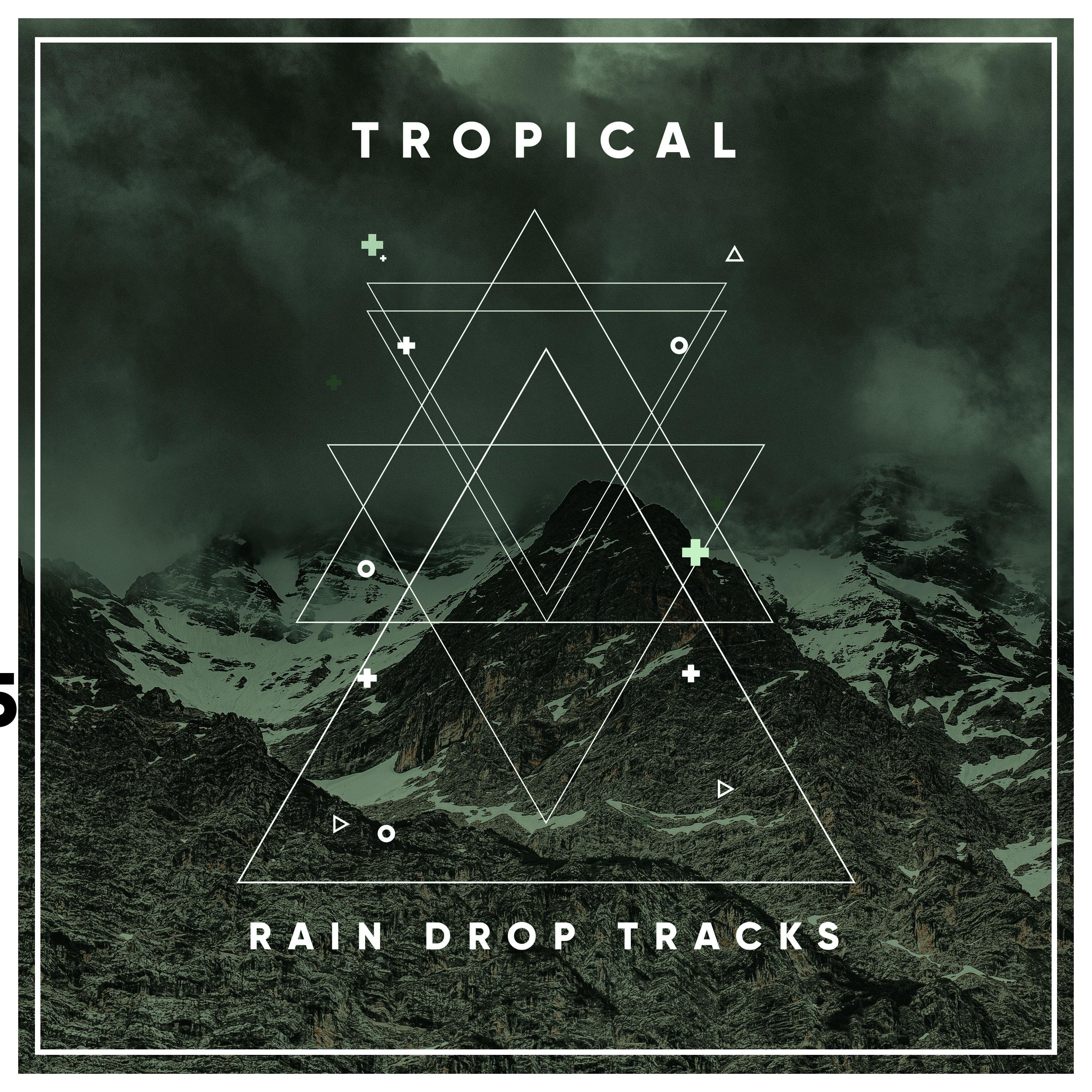 #14 Tropical Rain Drop Tracks