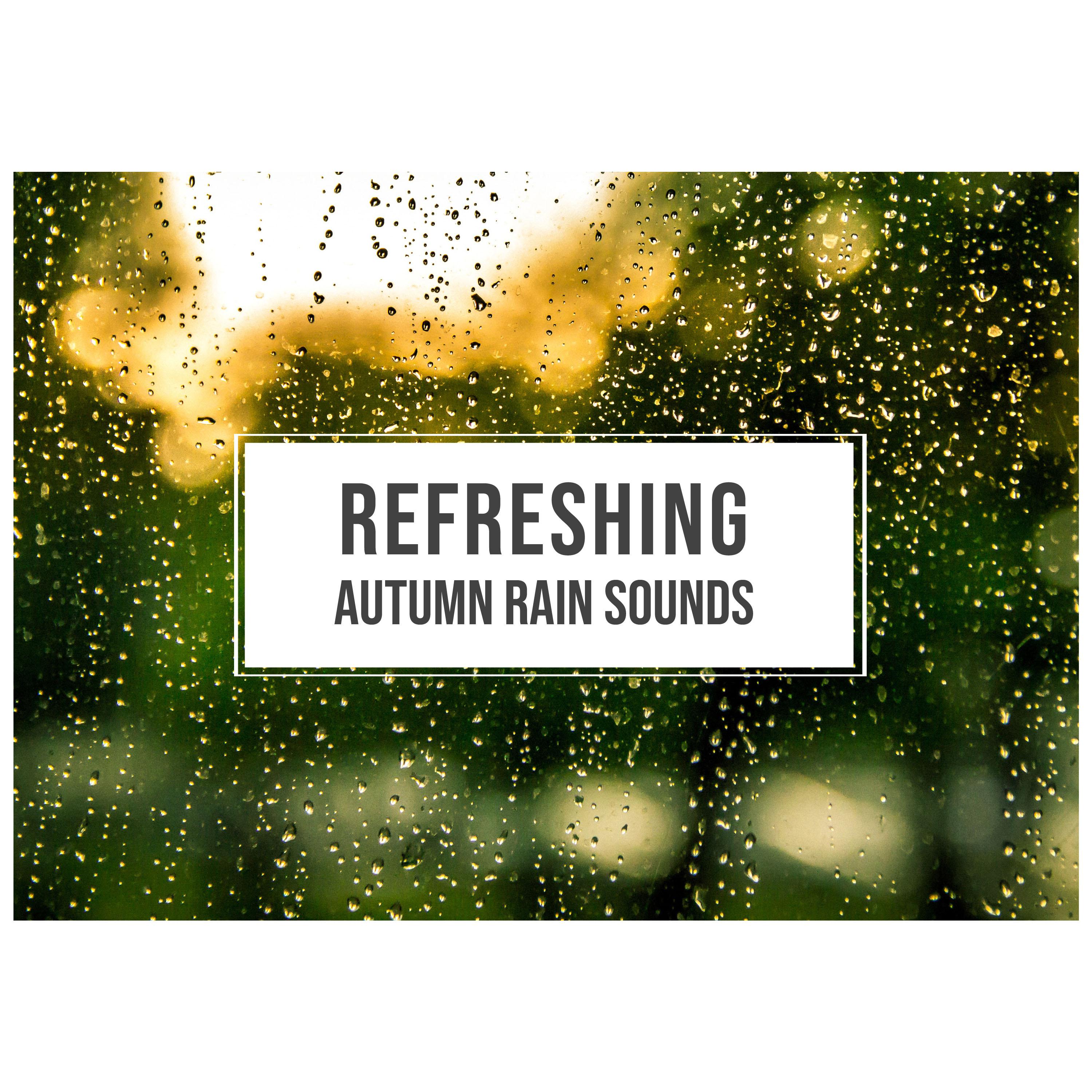#16 Refreshing Autumn Rain Sounds from Mother Nature