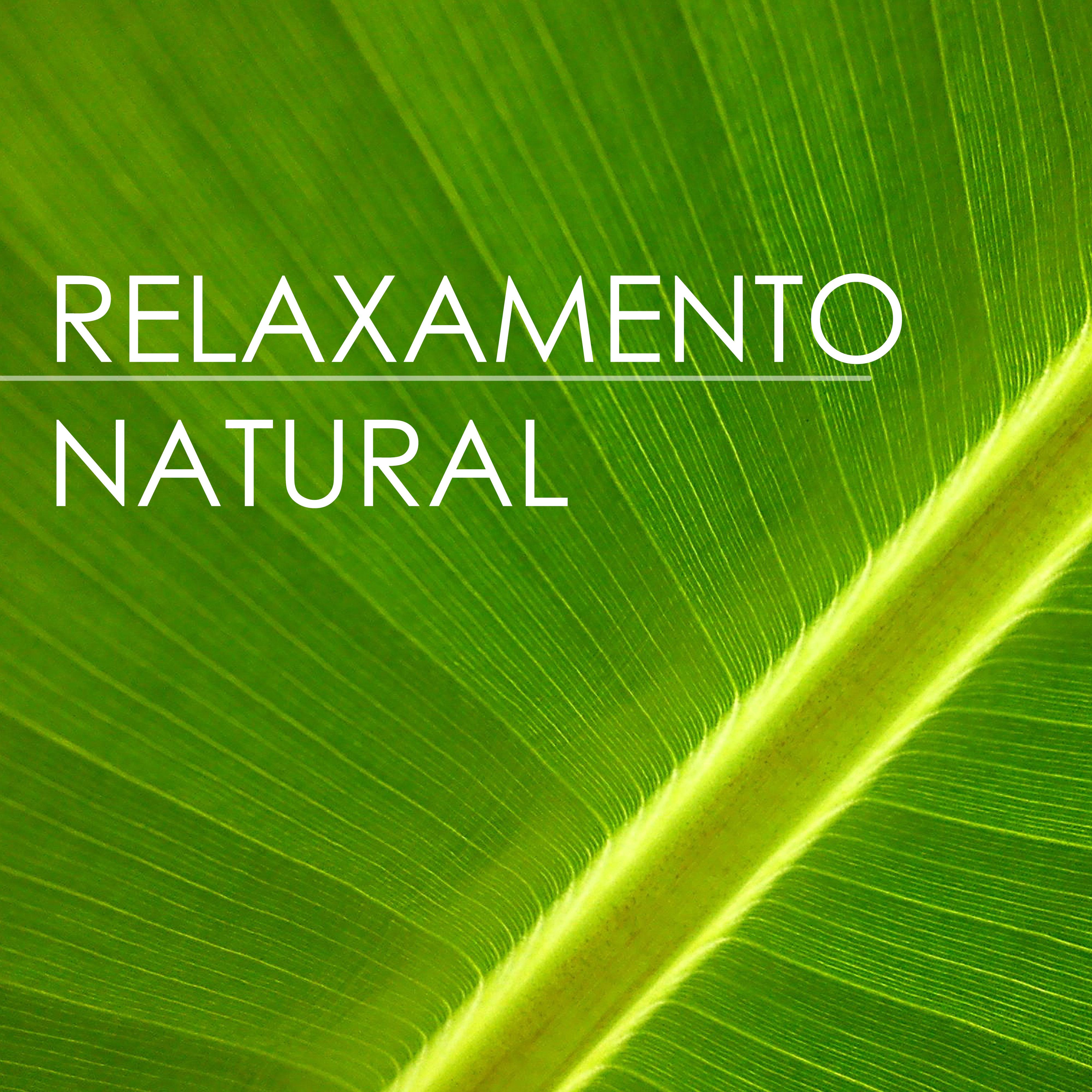 Relaxamento Natural  Sons da Natureza para Sess es de Yoga Medita o