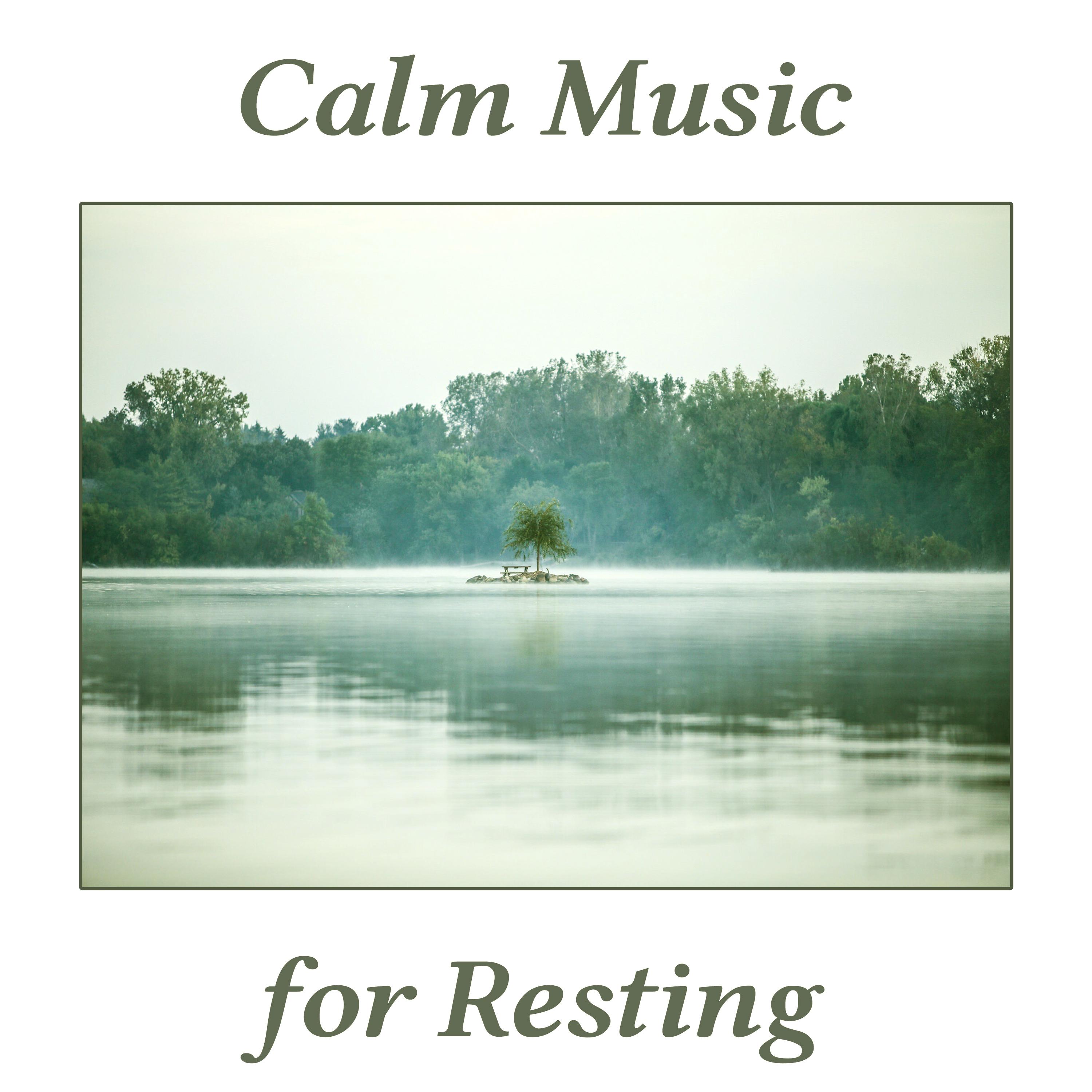 Calm Music for Resting - Recipe for Serenity, Life is Beautiful, Harmony of Piano Music