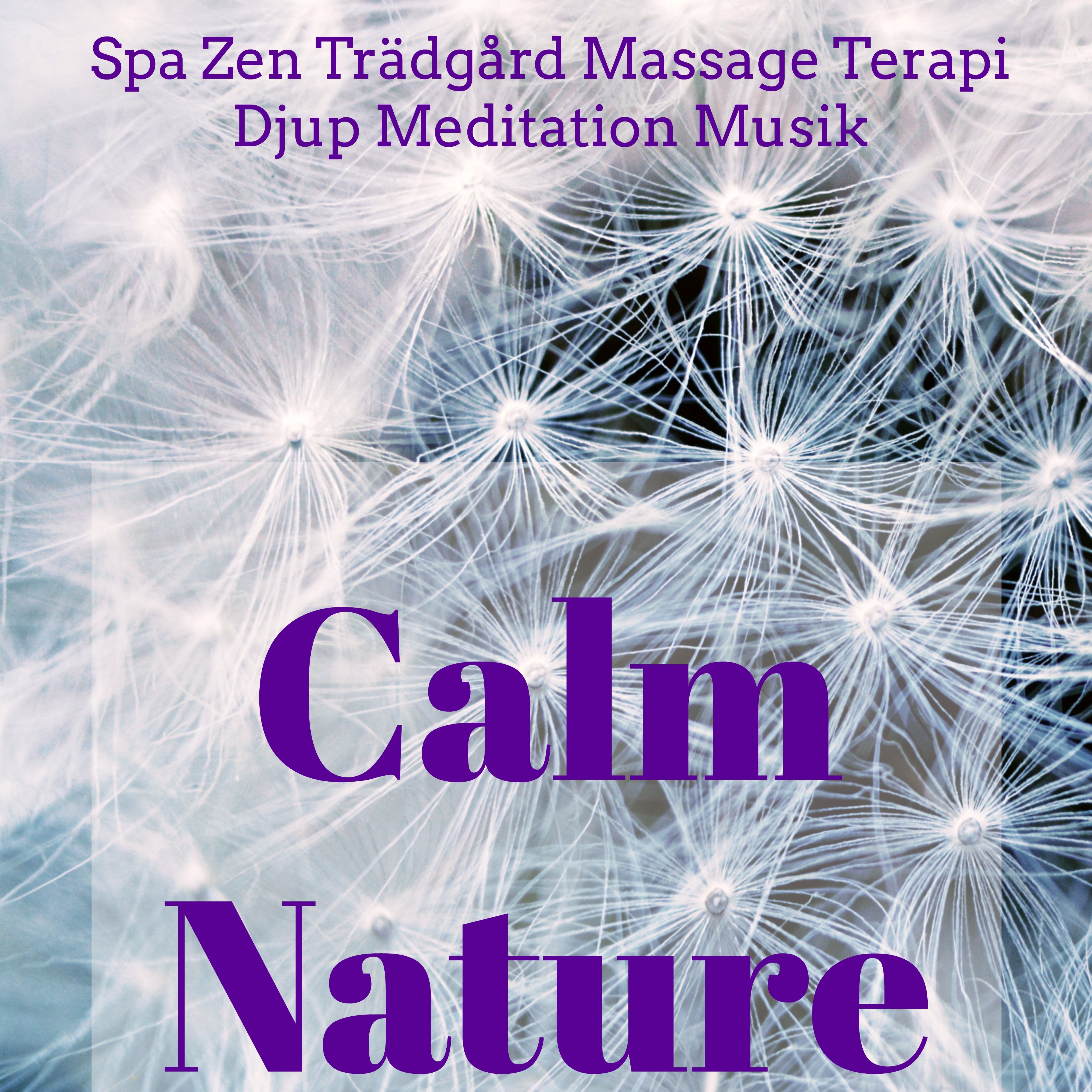 Calm Nature  Spa Zen Tr dg rd Massage Terapi Djup Meditation Musik med Natur Instrumental New Age Ljud