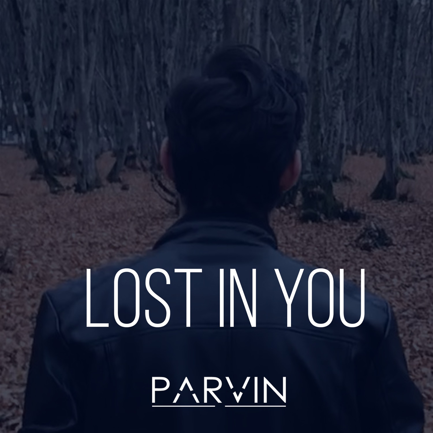 Lost in You