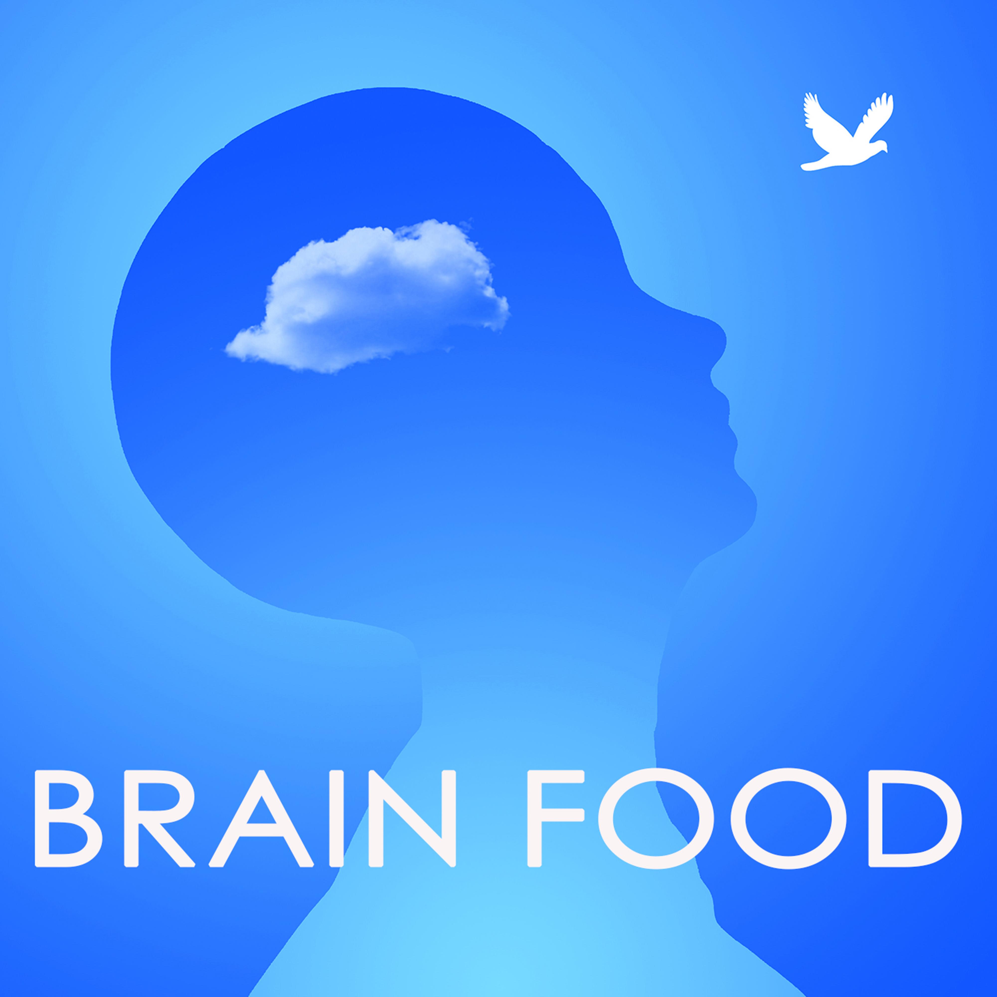 Brain Food  Soft Relaxing Music to Help Your Concentration and Focus, Sound Therapy to Increase the Power of the Mind and Concentrate